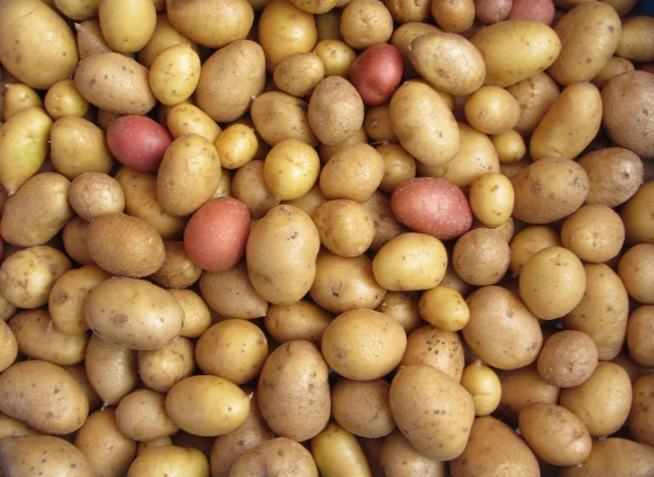 Class: Potatoes - A Culinary Canvas