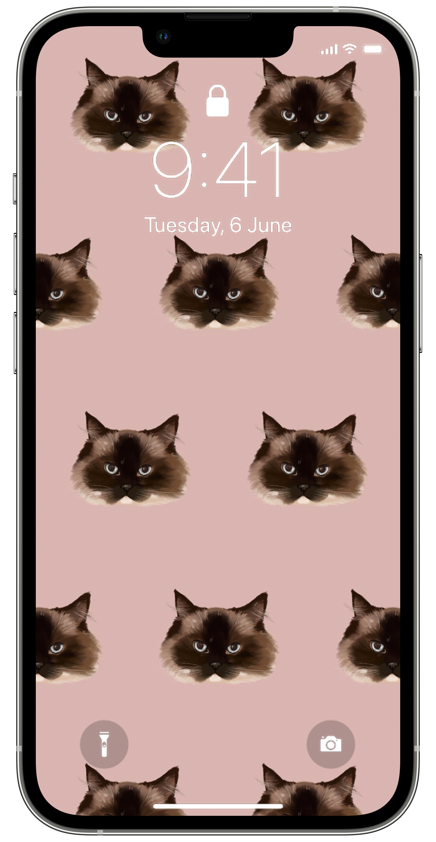 Wallpaper 7.png