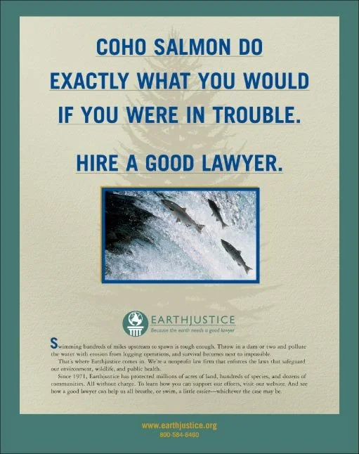 Earthjustice Tagline &amp; Print Ads