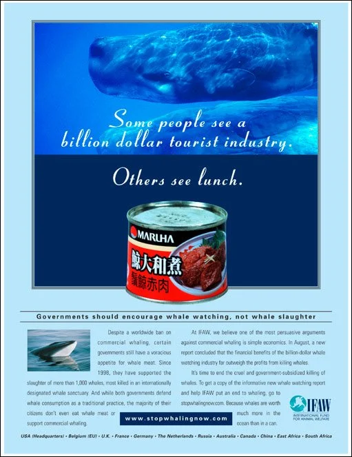 Whaling Ad