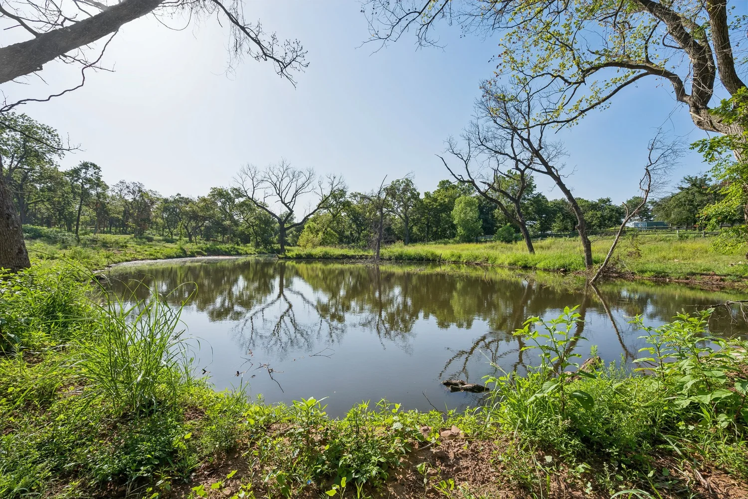 Pond and tree line on an Oklahoma land tour, seen from the ground