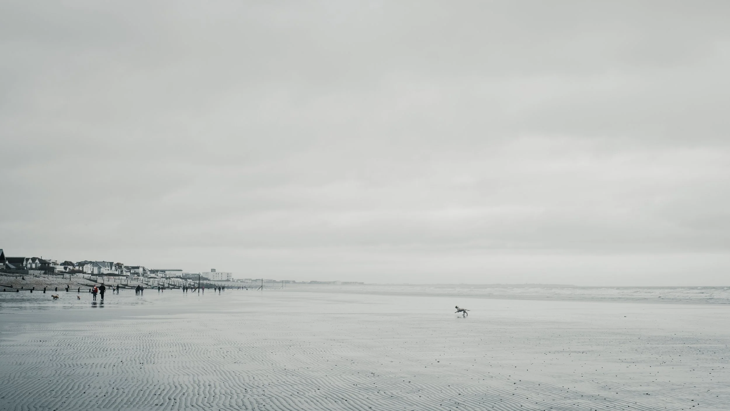 Overcast beach scene with people walking and dogs on the sand, and residential houses along the shoreline in the distance.