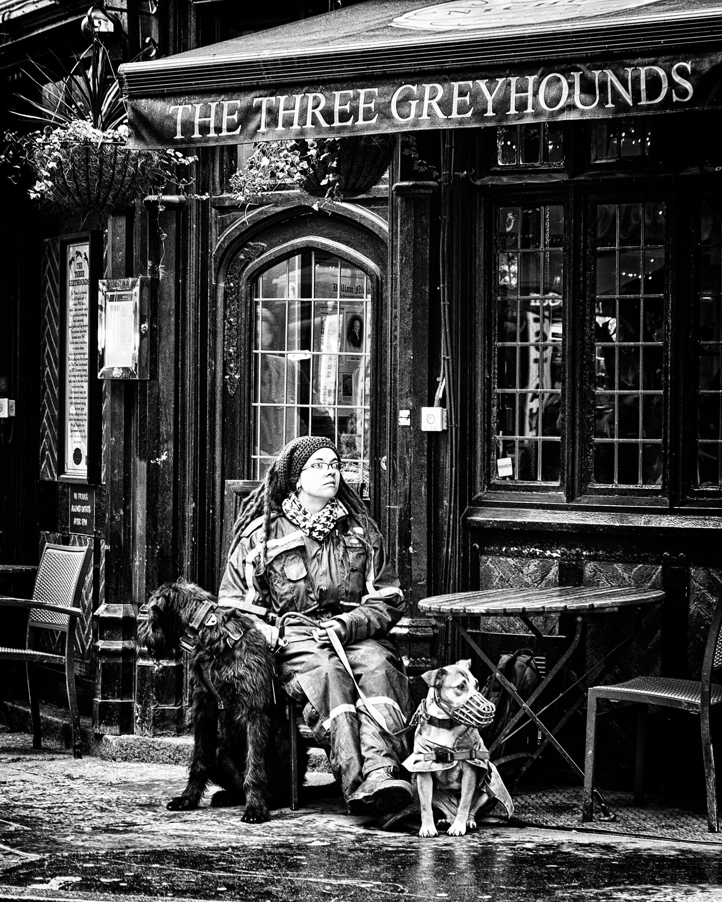 The Three Greyhounds. (Copy)