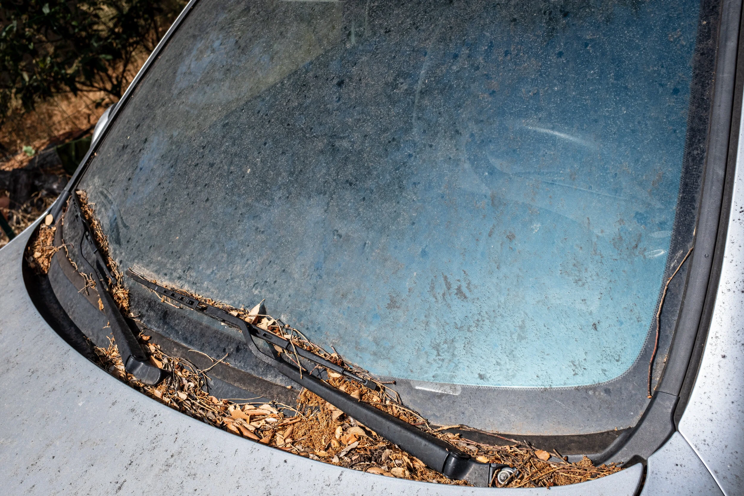 Close-up of dusty car windshield with dried leaves, dirt, and debris collected along the edges and windshield wipers.