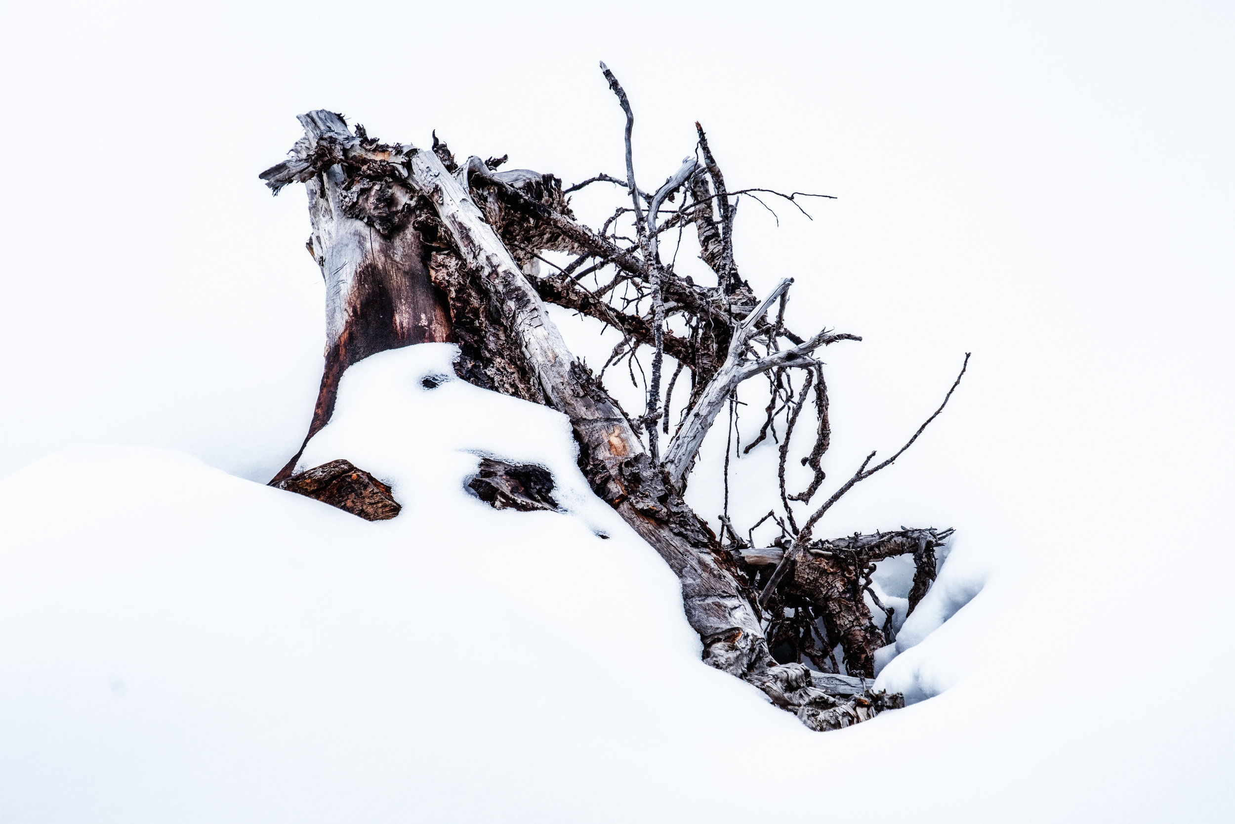 Winter ii (Copy)