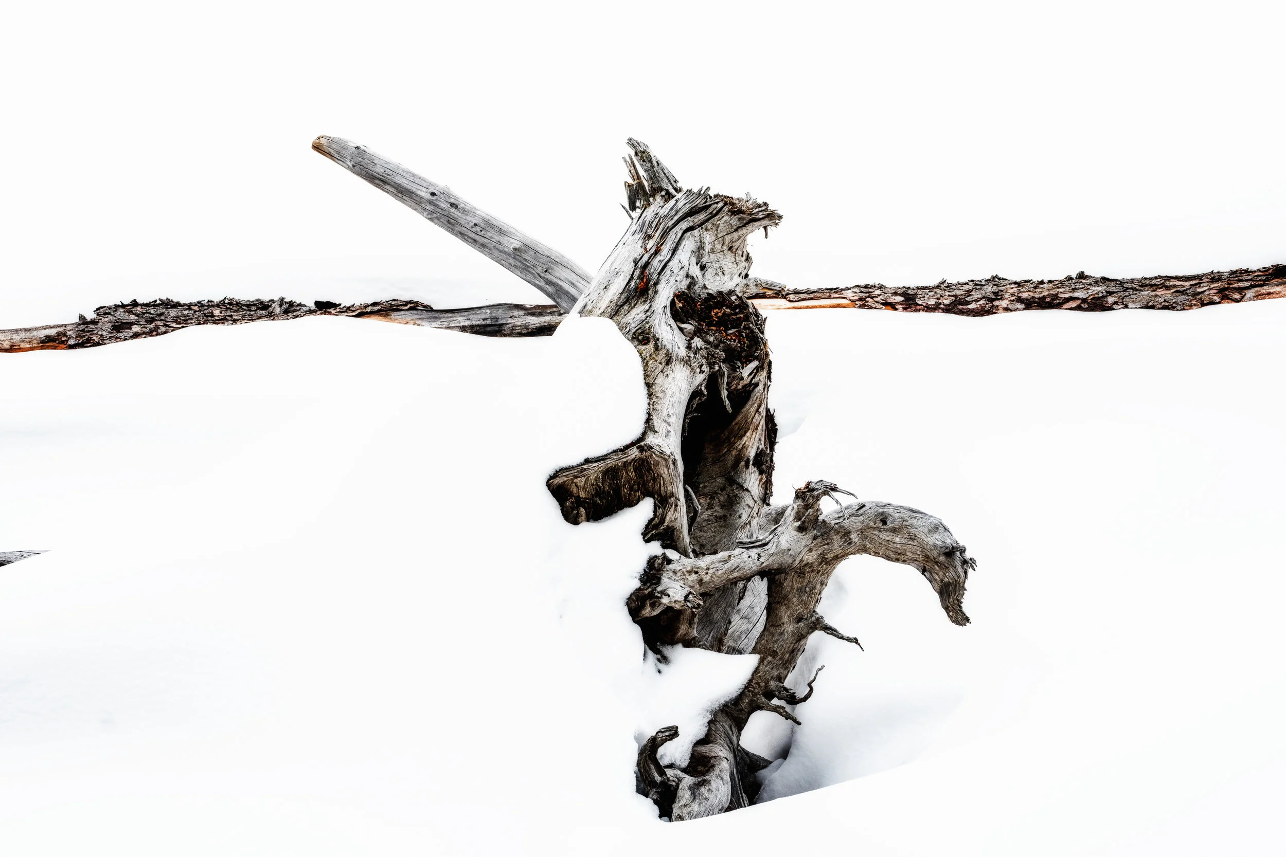 Winter i (Copy)