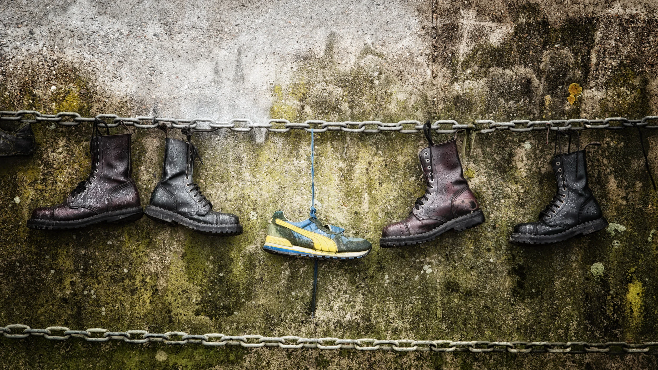 Dockside Docs. (Copy)
