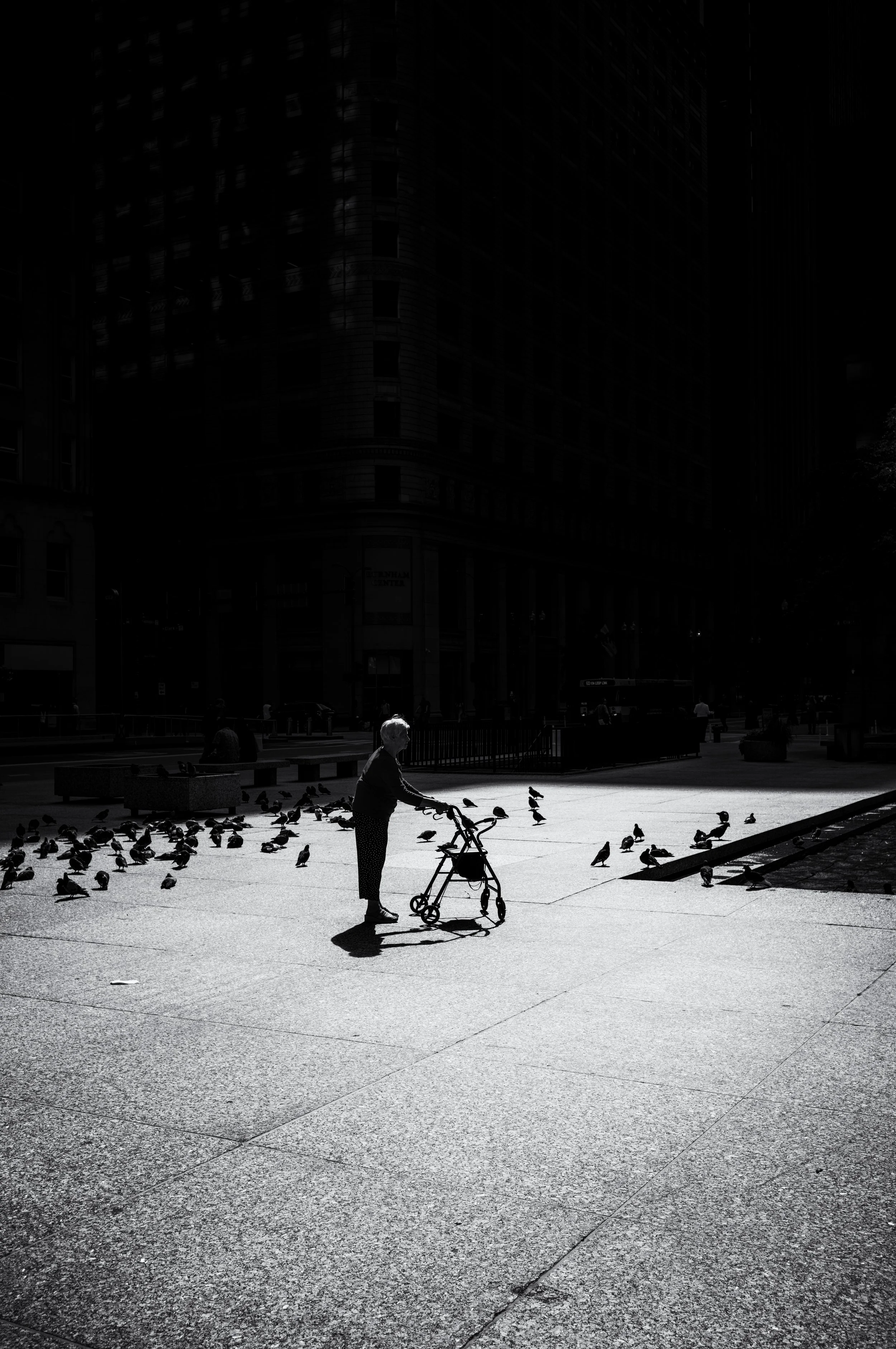 An elderly woman with a walker in a city square, surrounded by pigeons, with tall buildings in the background.