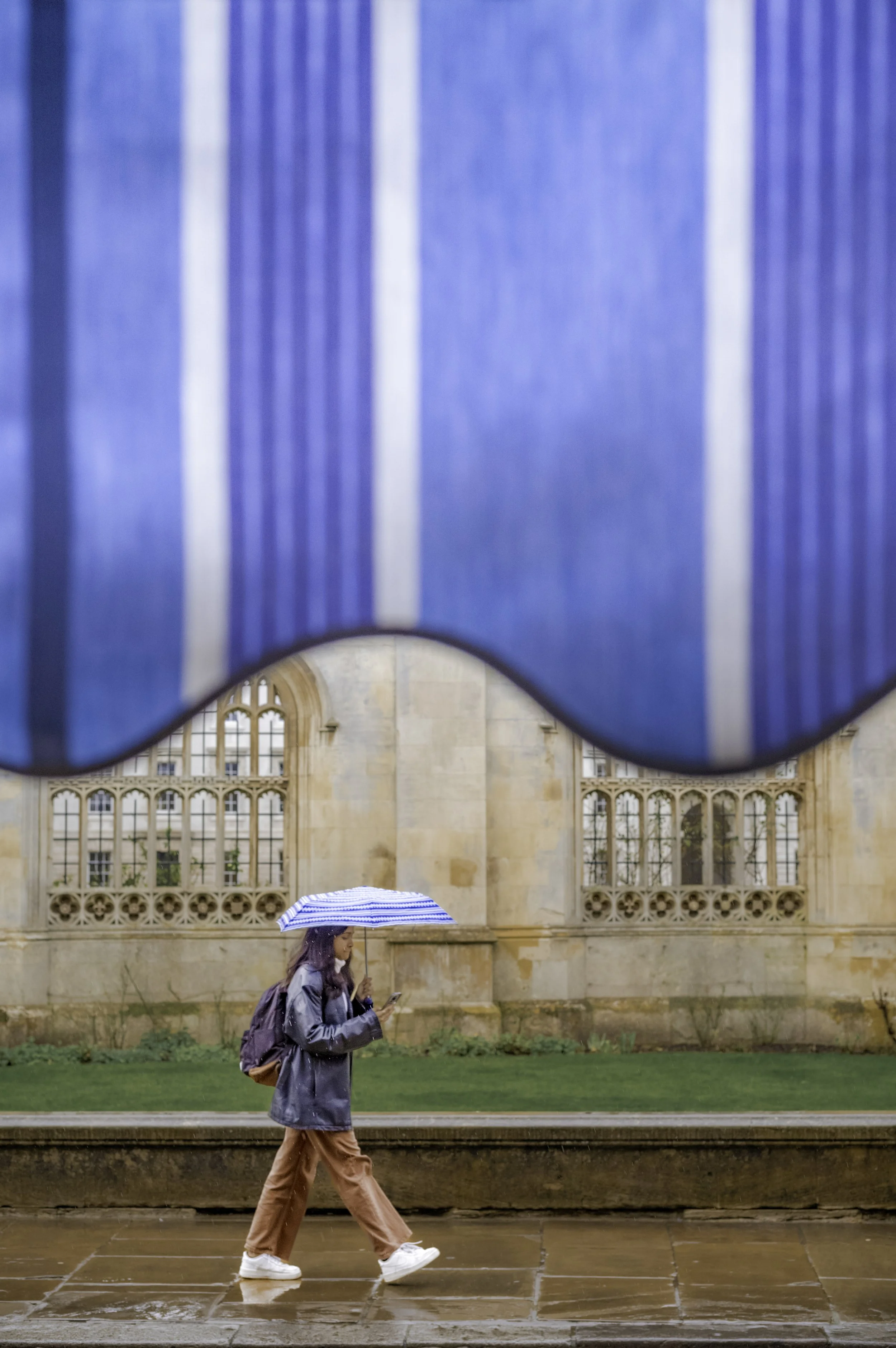 2024 bestPrints20240213 20240213 Matching Blind - PFLustre -20240213L1002557_.jpg