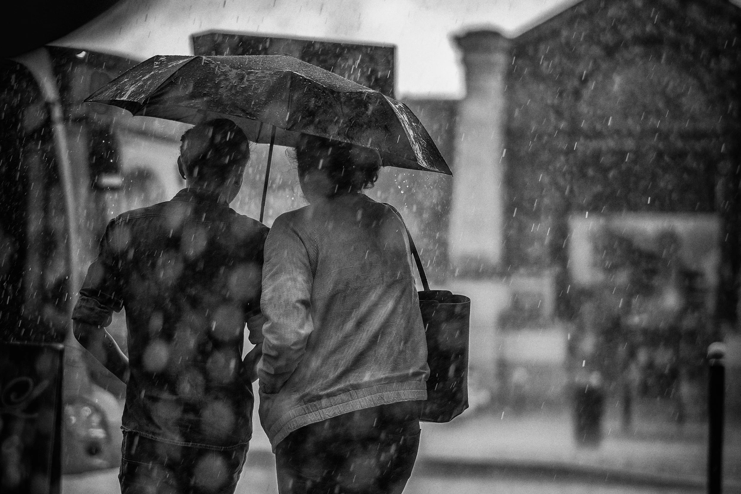 Summer Rain (Copy)