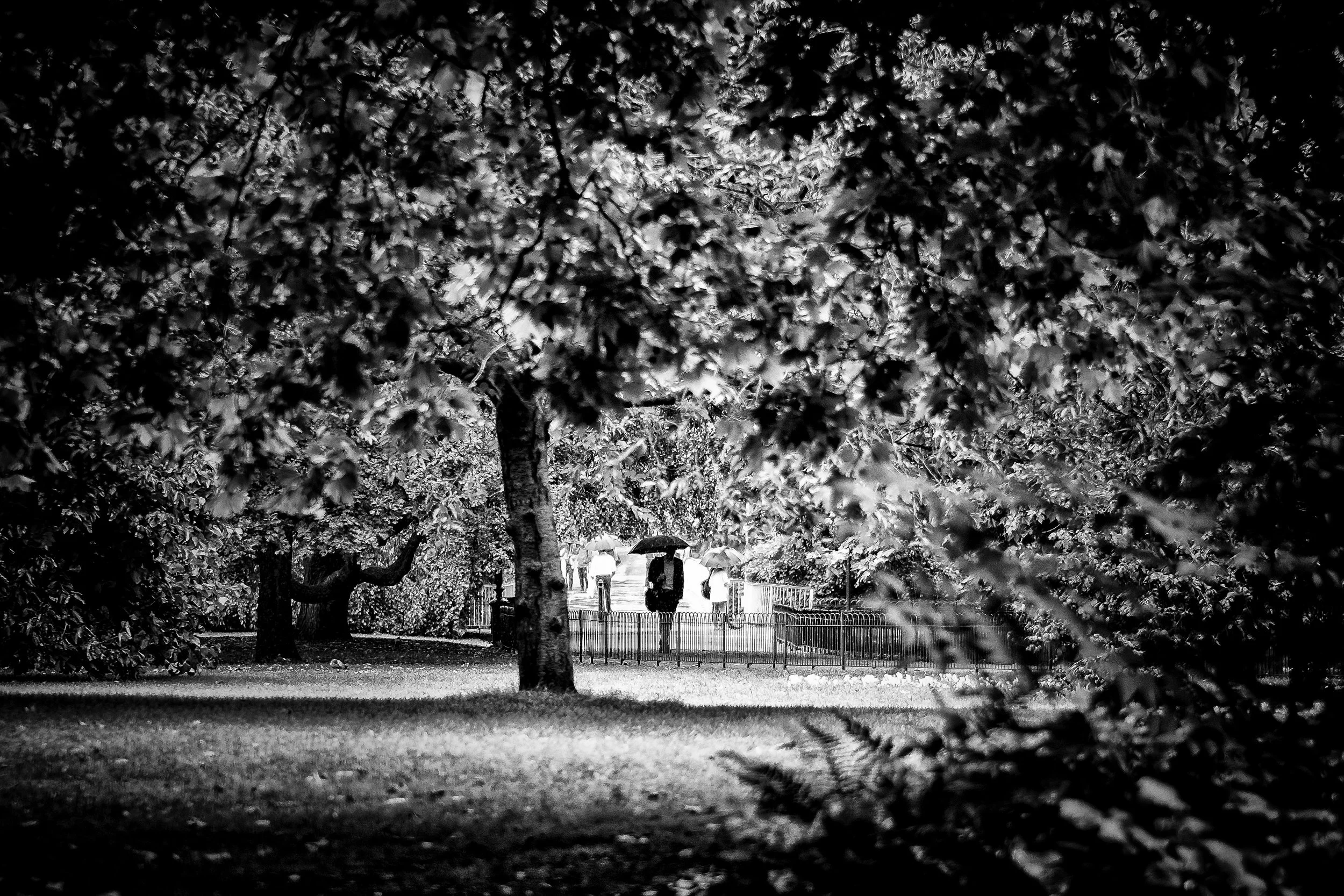 Walking in the Rain (Copy)