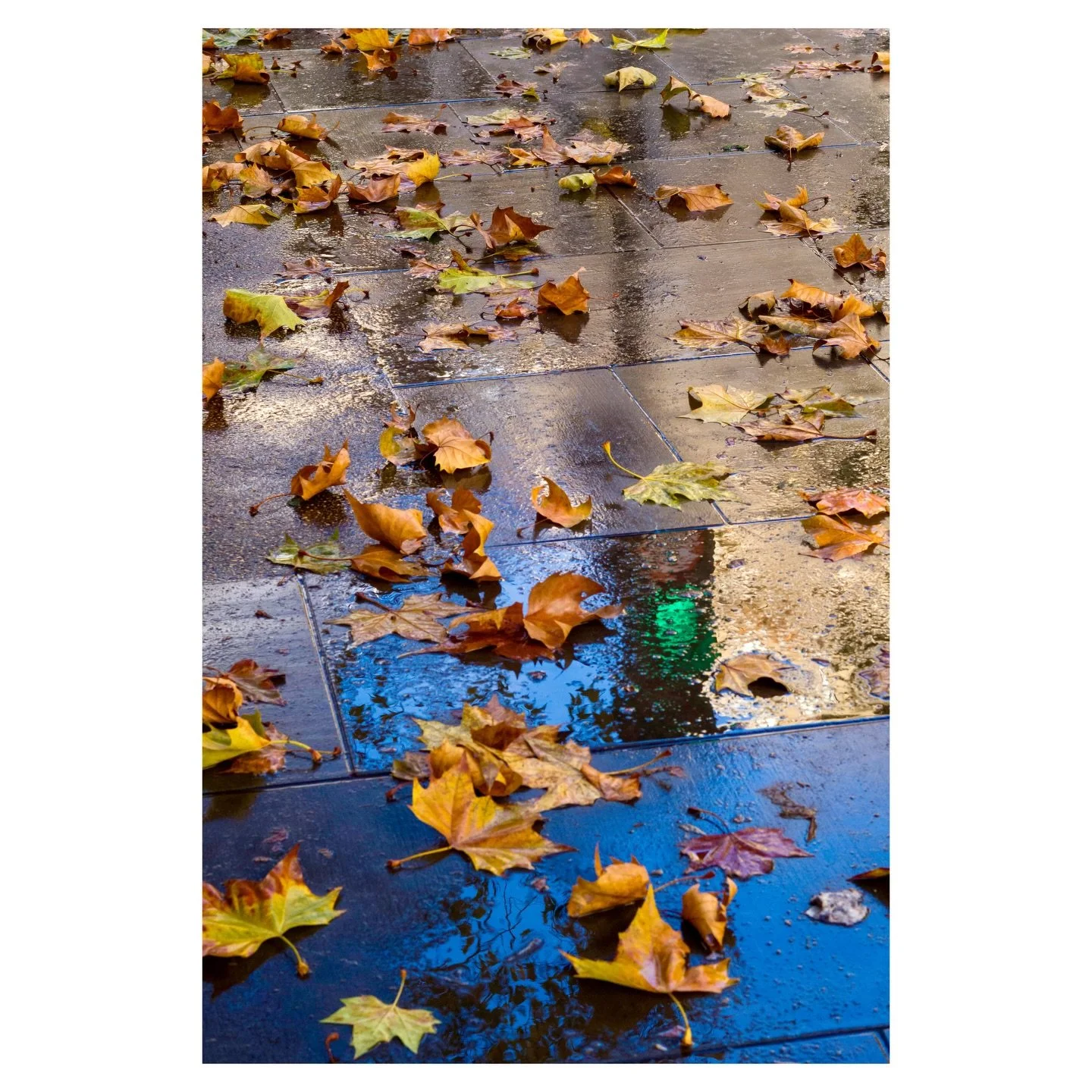 Green And Gold.
Aldwych, London. 2025.
.
.
.
#igersstreets
#nonstopstreet
#fromstreetswithlove
#everybodystreets
#yallerstreet
#streetclassics
#streetmobs
#urbanshutter
#urbanstreetphotography
#urbanandstreet
#streetphotography
#featureshoot
#photoof