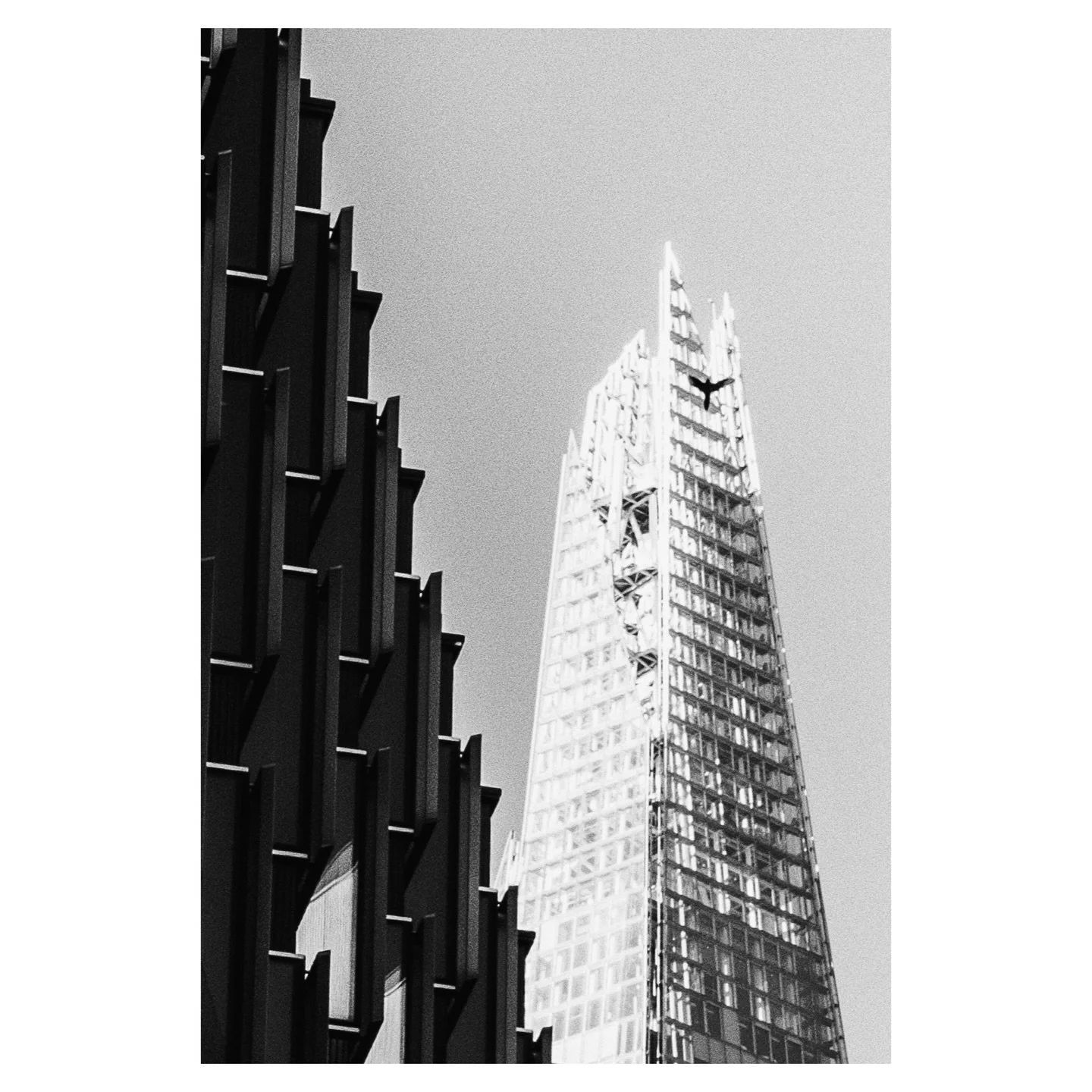 Shard Times.
London. 2026.
.
Spot the pigeon.
.