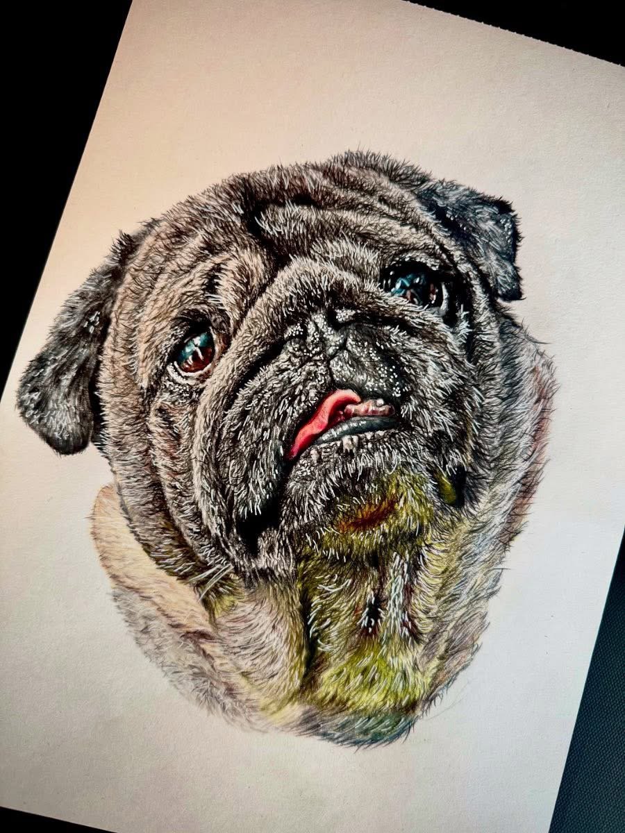 Colorful portrait of a pug dog with detailed fur and expressive eyes.