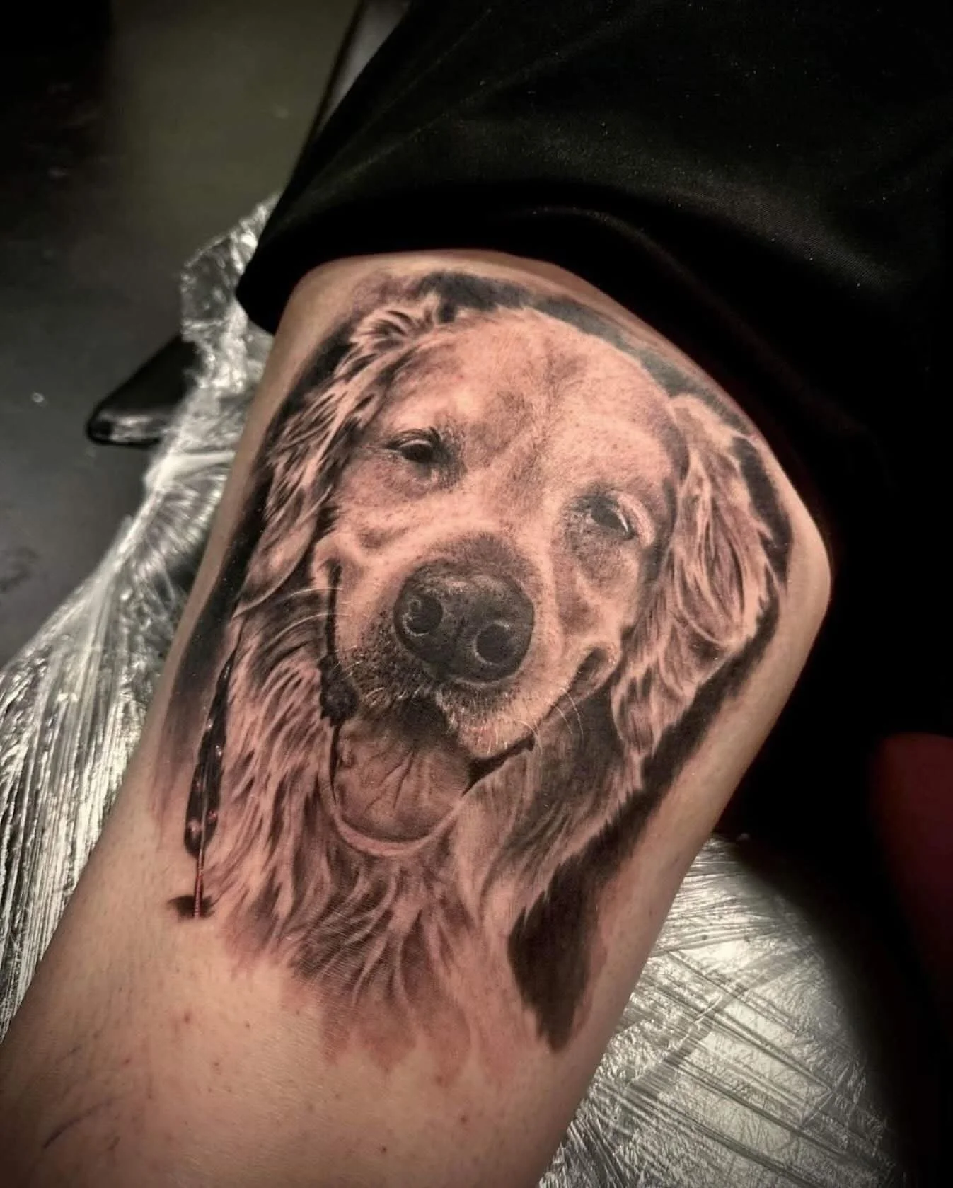 Realistic black and gray tattoo of a happy golden retriever dog on a person's thigh.