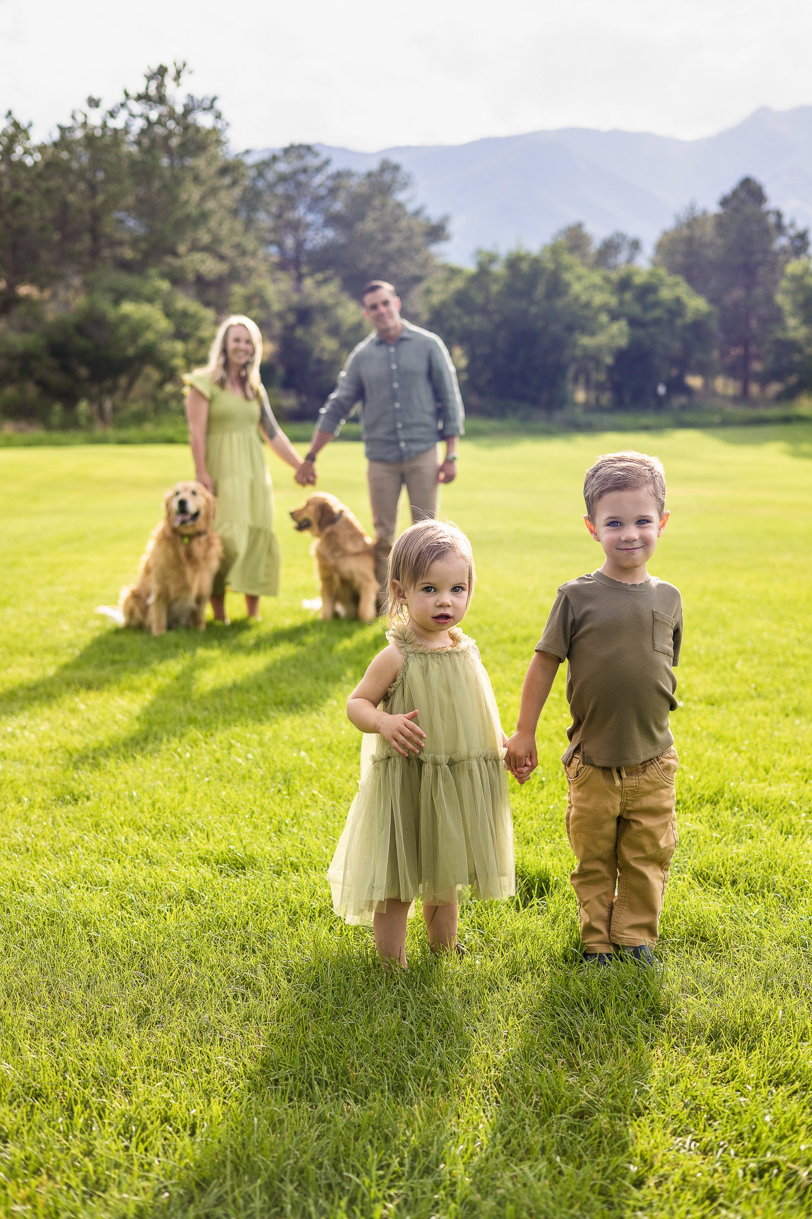 Vibrant outdoor family portrait featuring children in the foreground holding hands, with parents and two dogs softly framed in the background. Captured by Colorado Springs photographer Charlotte Harloff, this session blends connection, color, and can