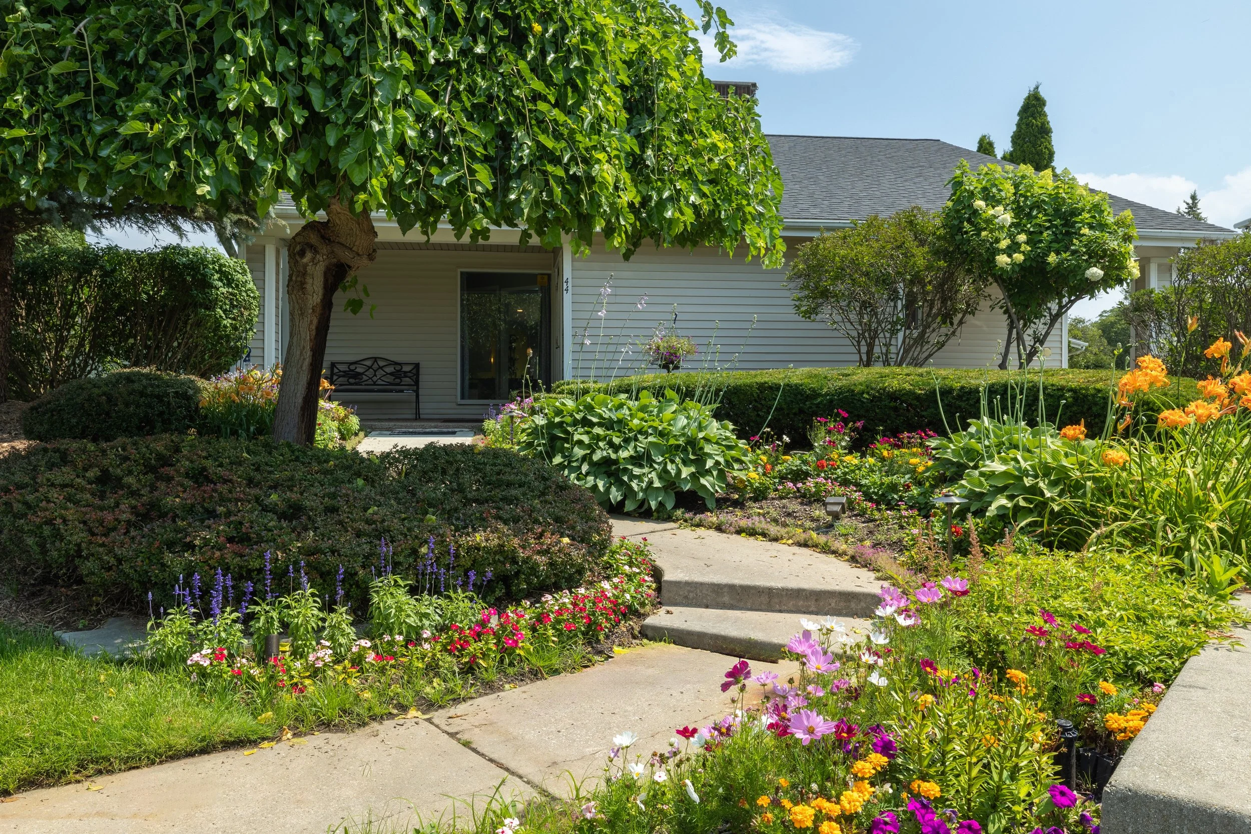 A garden in front of a house with various colorful flowers, bushes, trees, and a concrete pathway leading to a front door on a sunny day.