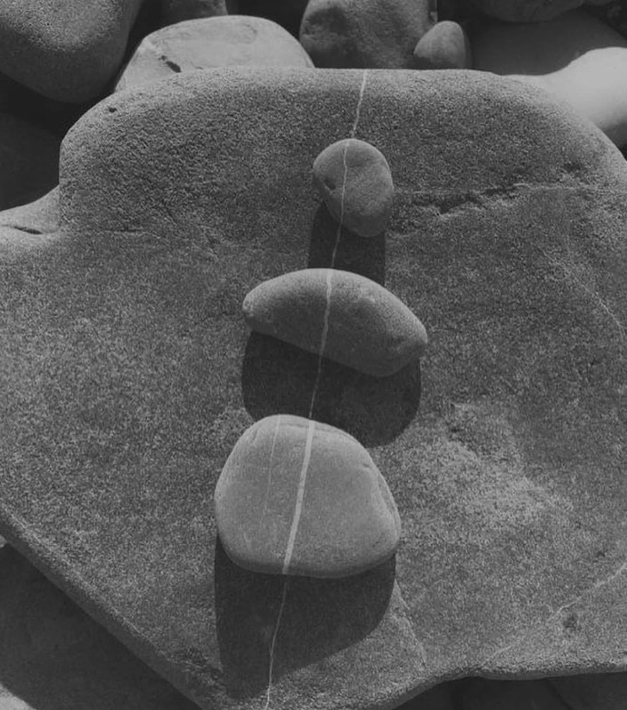 Wabi Sabi, Ecology, Honoring of Earth