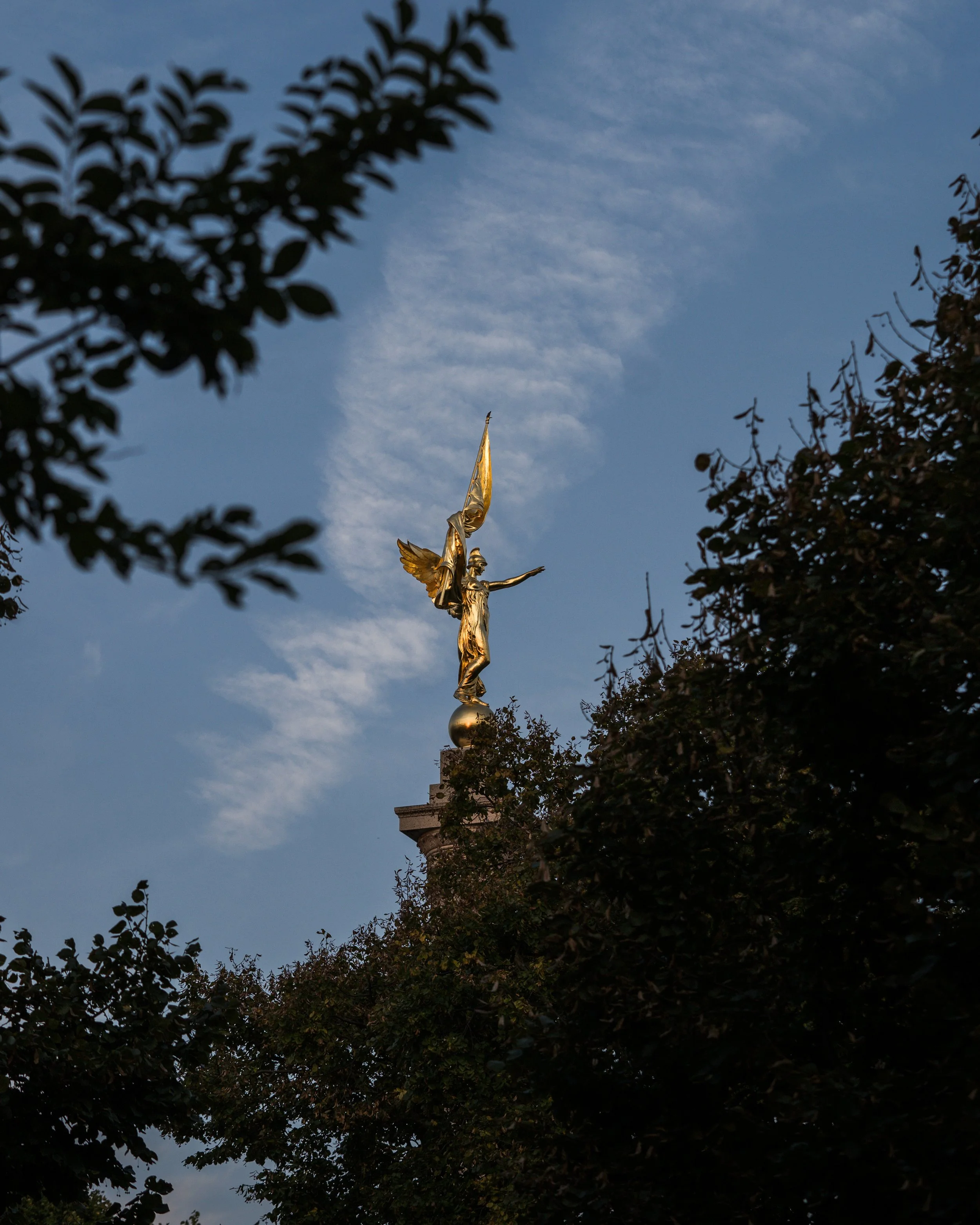 TMT09044.JPG