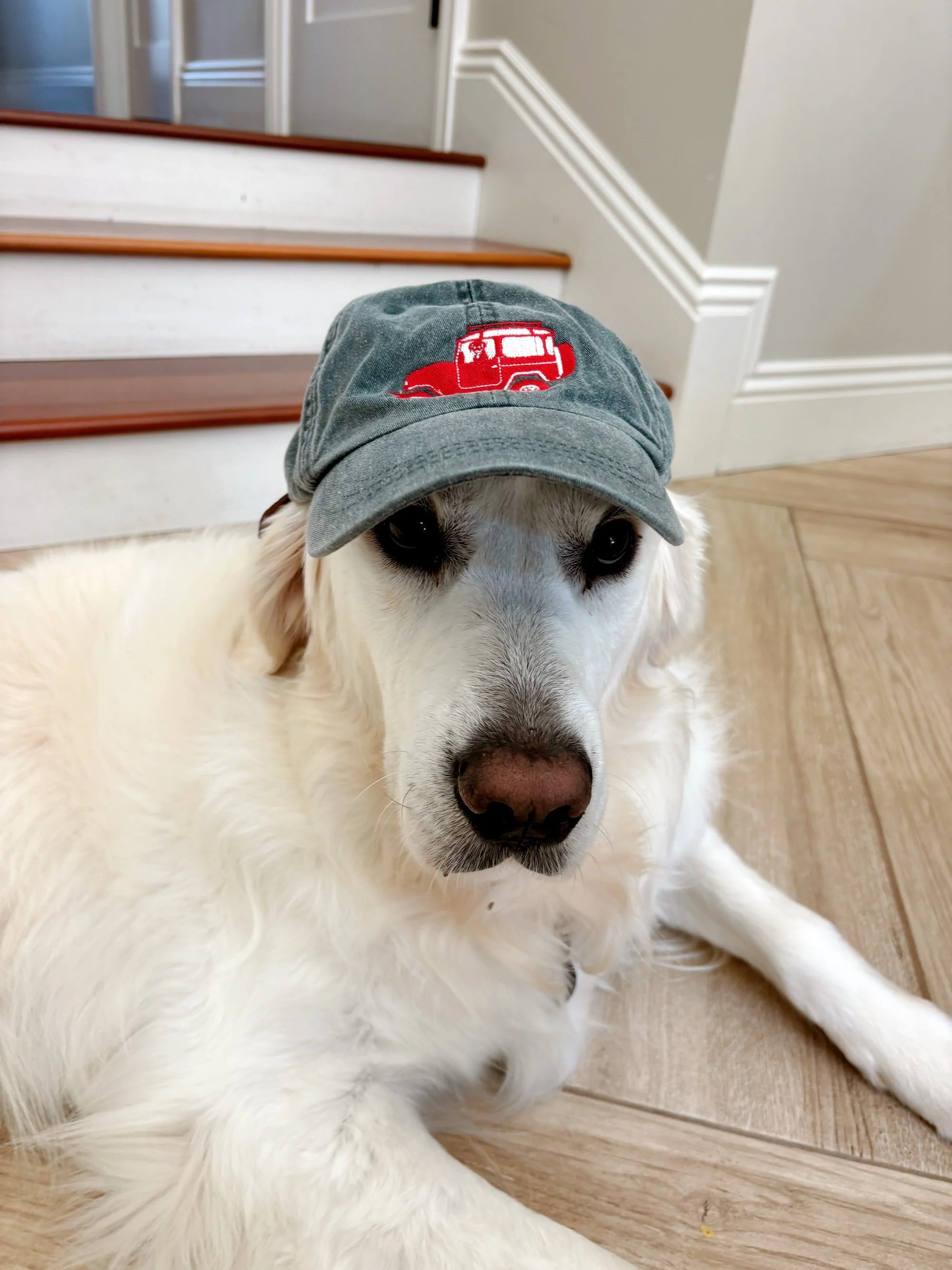 Dad Hat_Blue_Finn.JPG