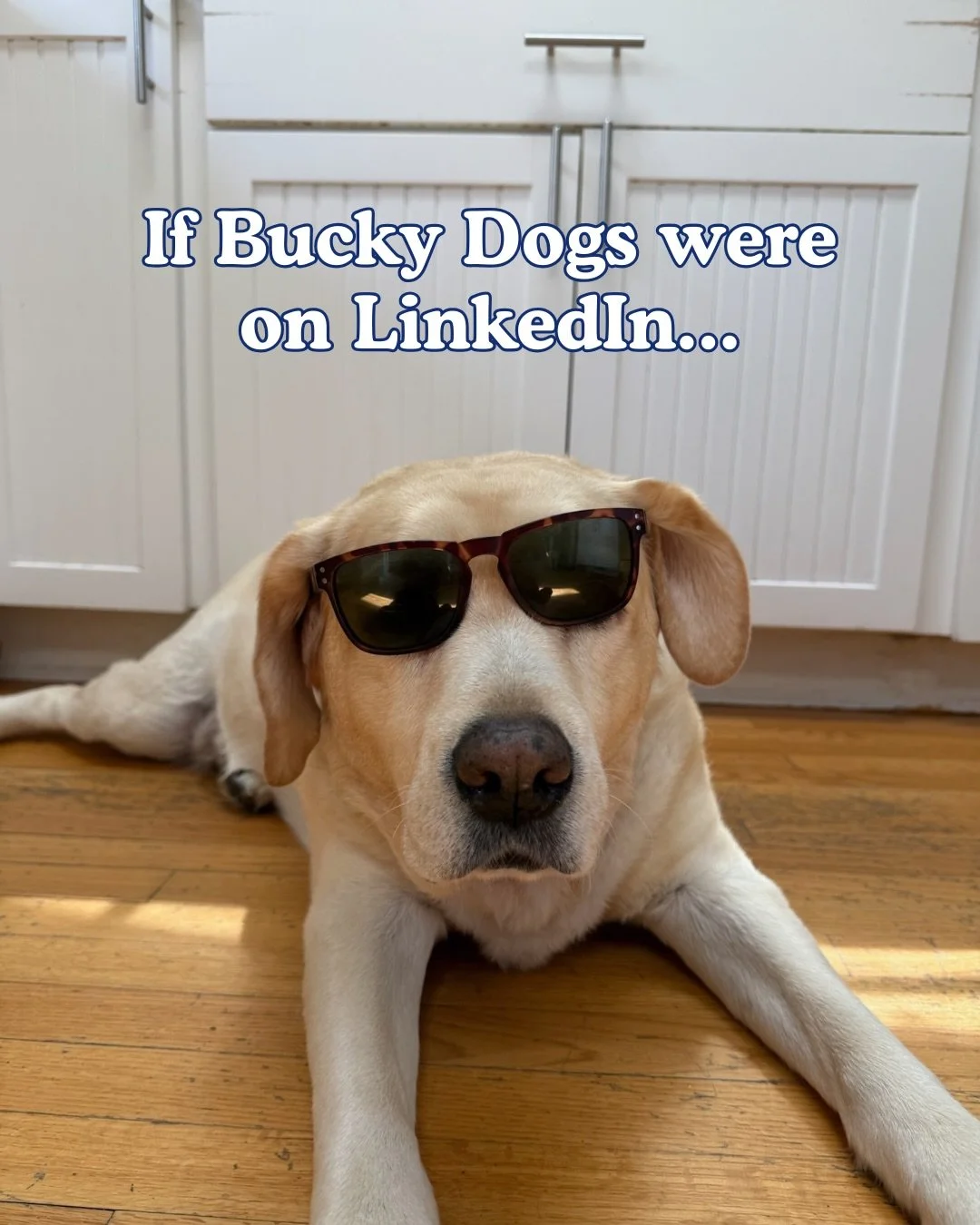 Workin hard or hardly workin?