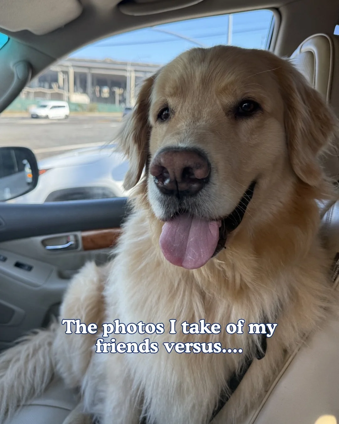 Proof that it&rsquo;s not you, it&rsquo;s your friends photography skills!