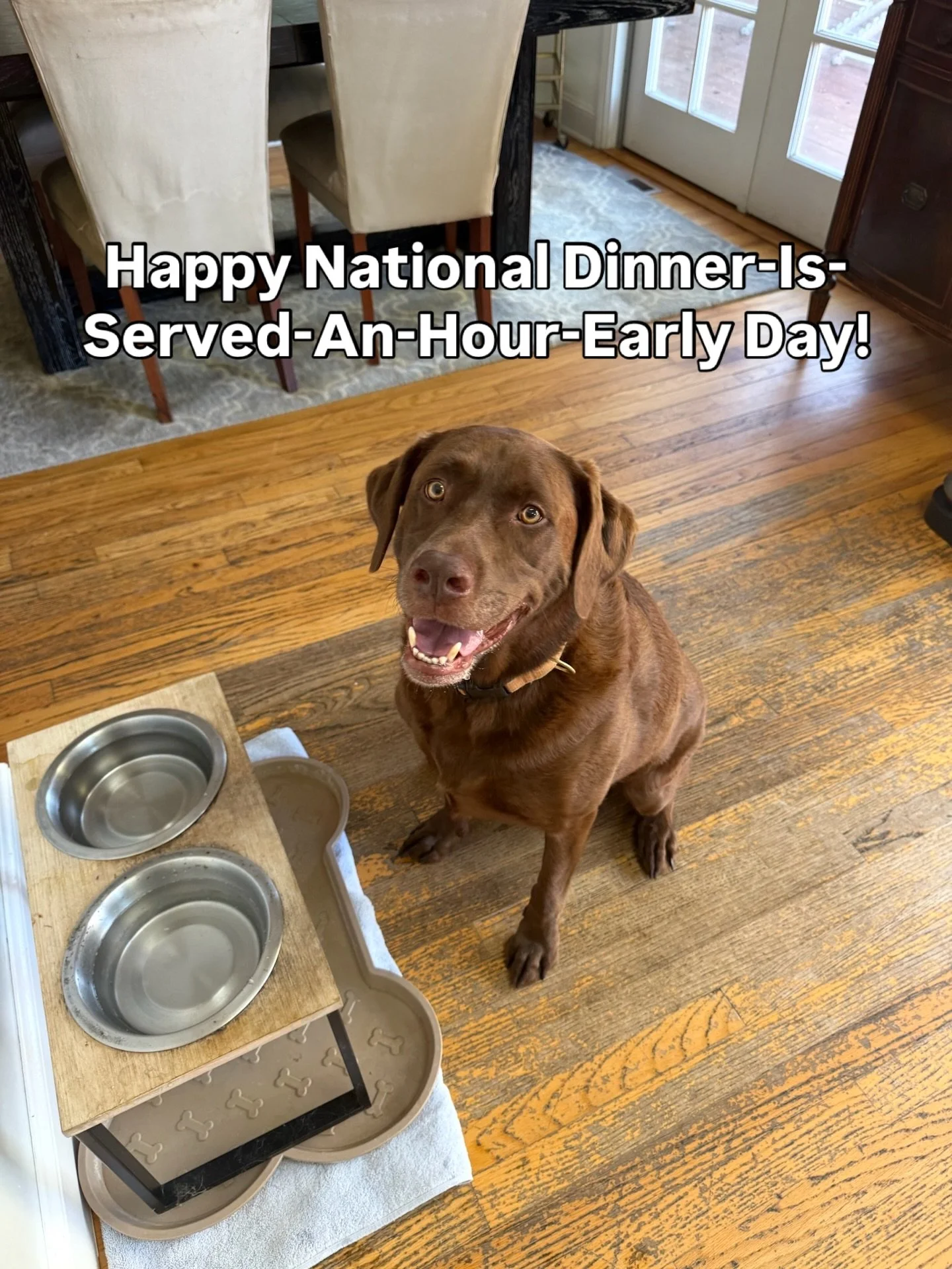 Spring forward into the dinner bowl! Happy daylight savings folks 💛