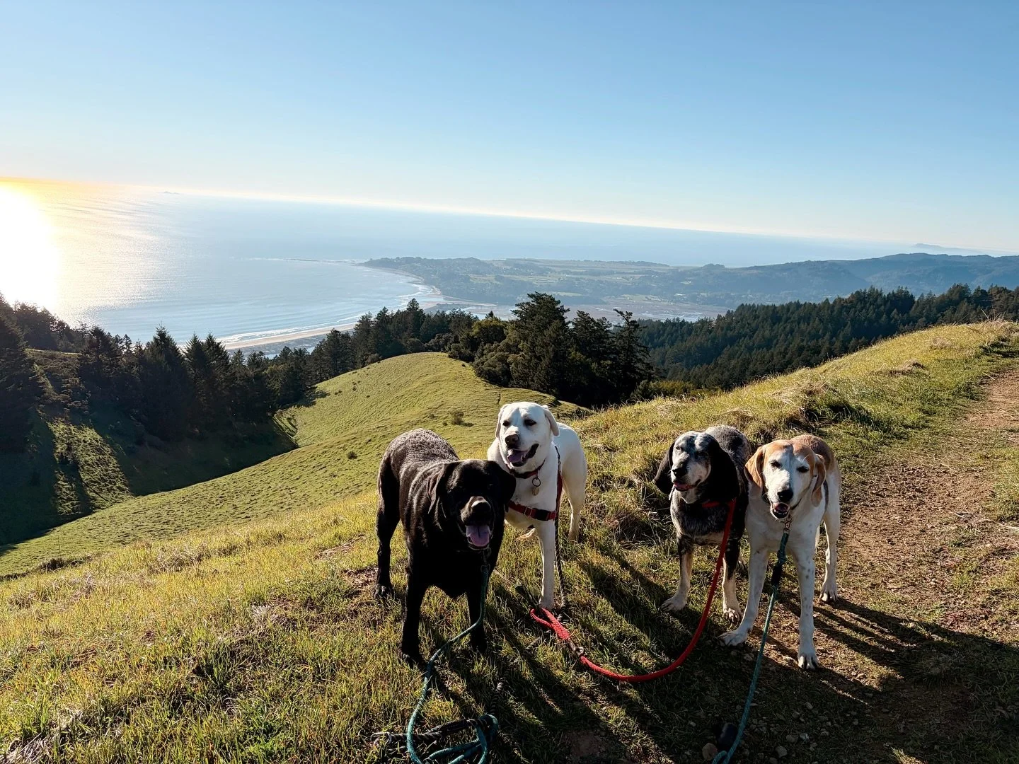 Feeling on top of the world with this crew!
