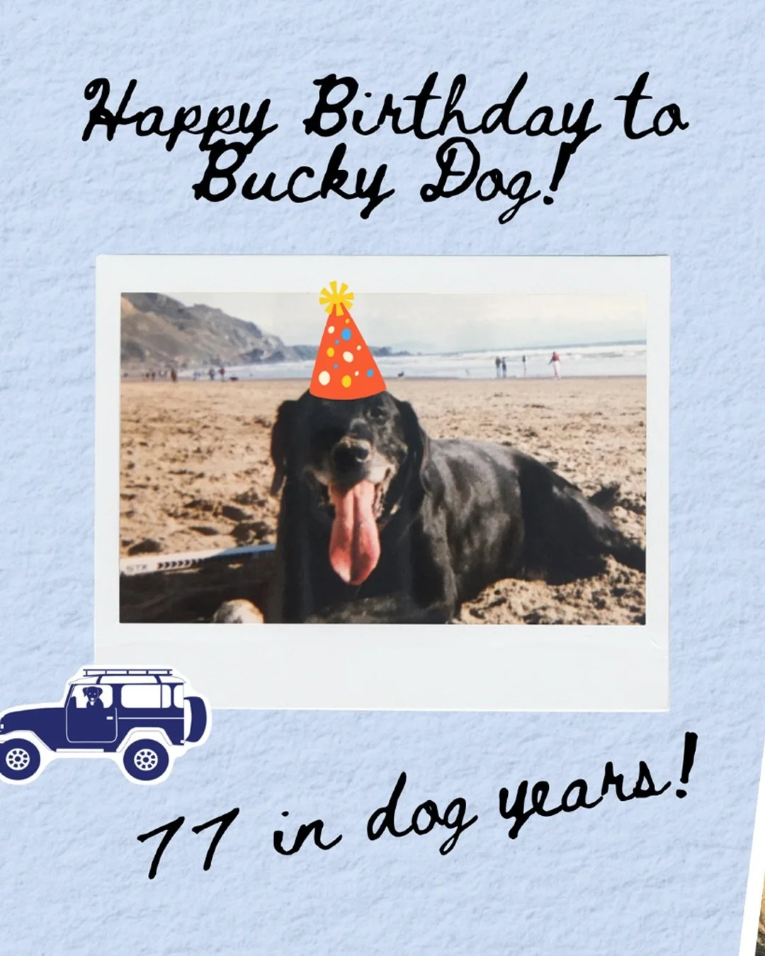 Today we&rsquo;re celebrating 11 years of Bucky Dog (we&rsquo;re 77 in dog years!) 🎉🐶👏🏼 

Paige started this business back in 2015 as a small passion project and it has grown into something truly incredible. We&rsquo;re so grateful to this incred
