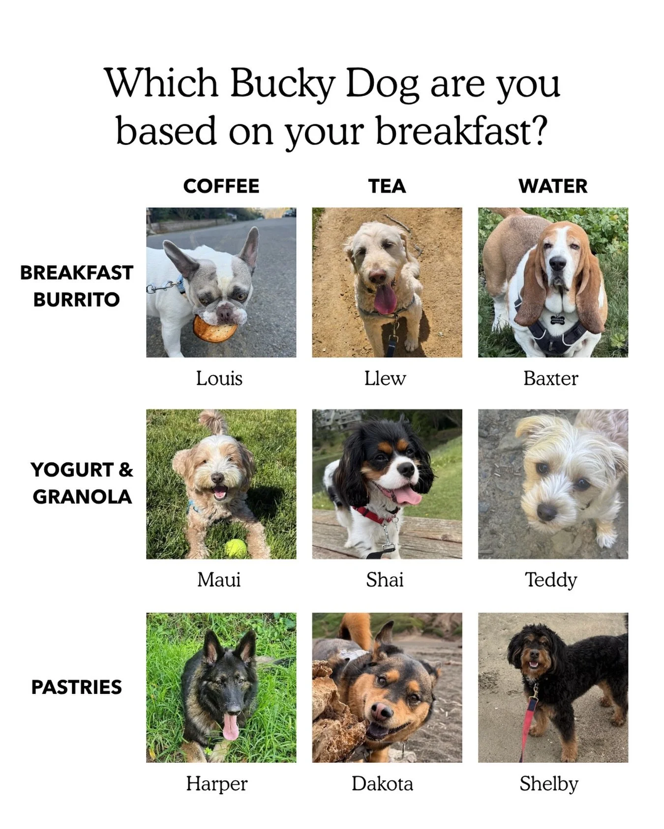 It&rsquo;s a beautiful morning to be a Bucky Dog! ☀️🥯☕️