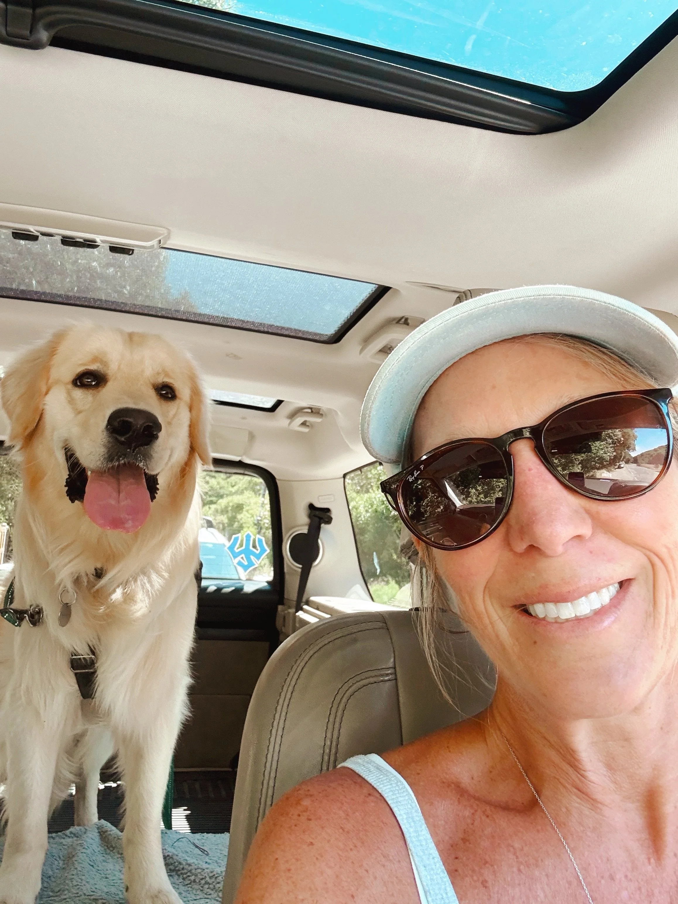 Life can sometimes let you down, but a dog never will. I was reminded of this recently &mdash; while going through a tough week, it was the walks with Sparky (a puppy who is new to the Bucky Dog pack) that helped me find joy again. His energy, smile,