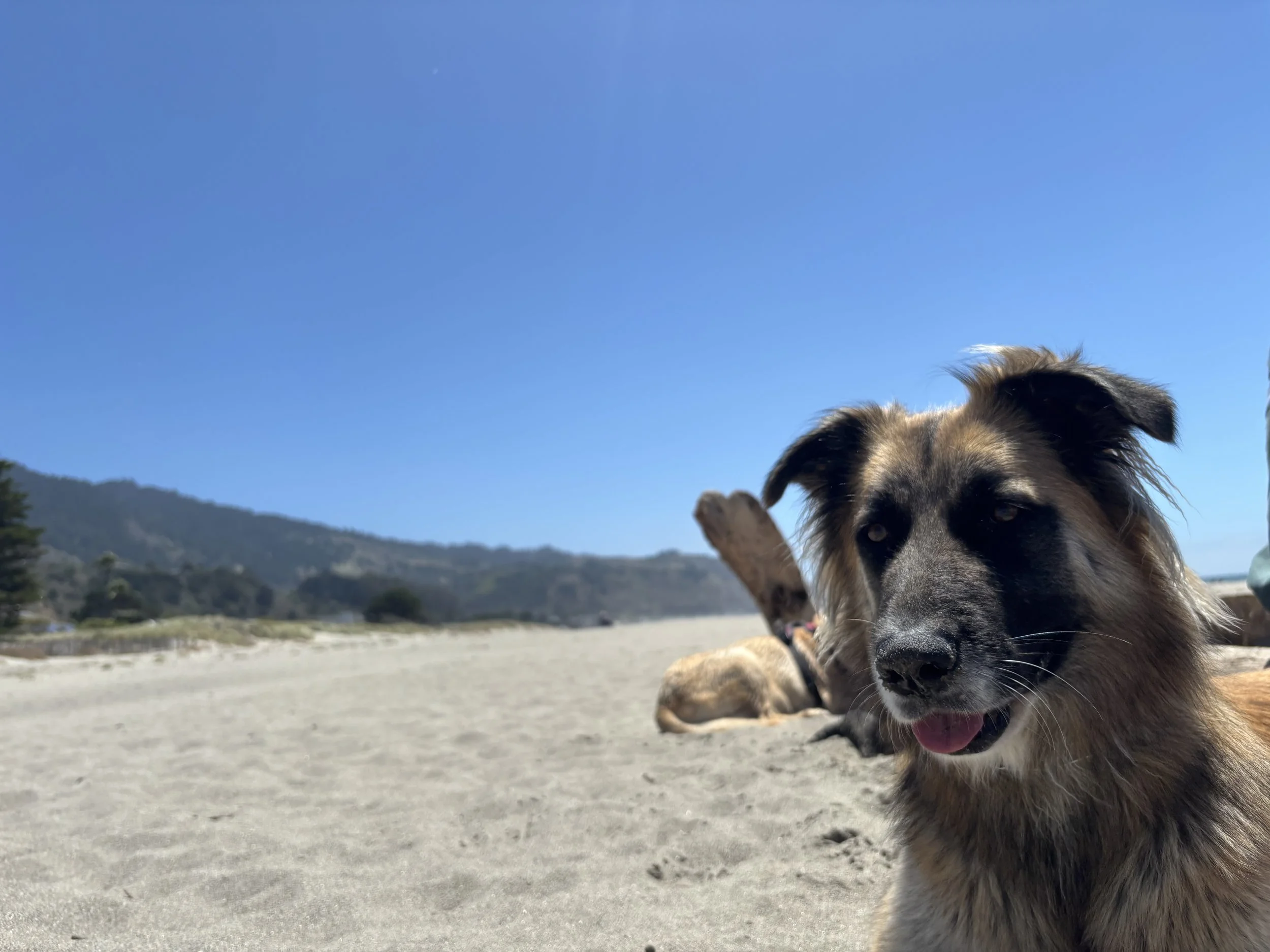 IMG_5101.jpeg