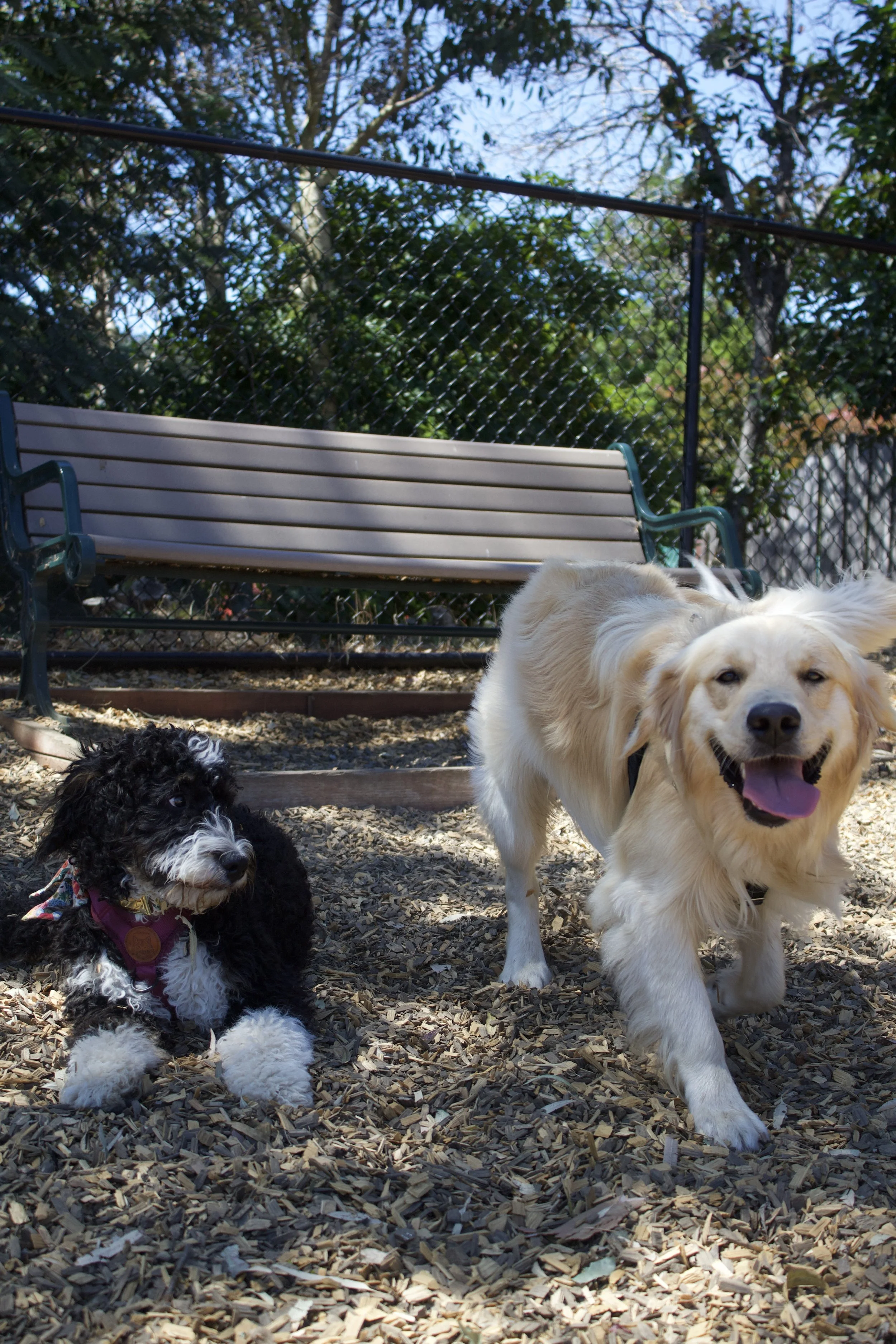 IMG_4171 2.JPEG