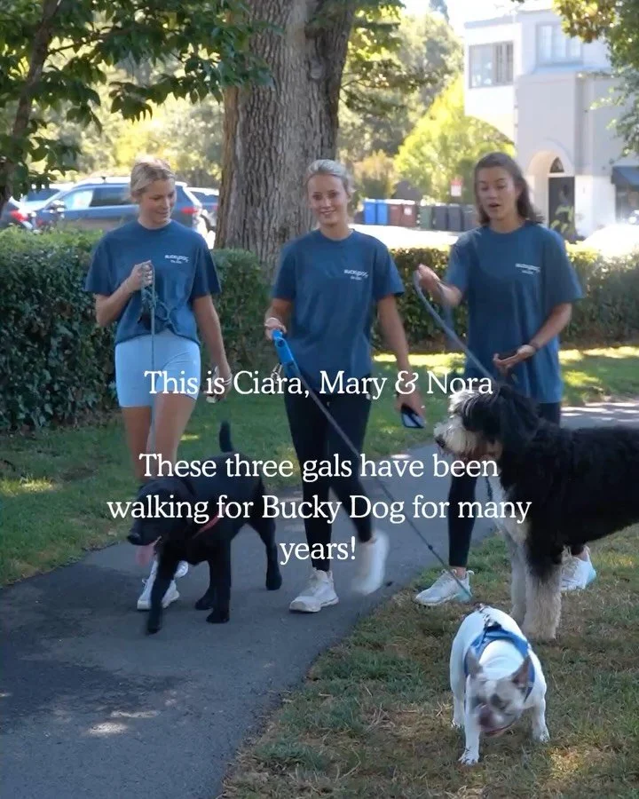 College Crew Spotlight! We can&rsquo;t stop talking about how much we love our college walkers so we thought we should officially introduce them. Please meet Ciara, Nora, and Mary&mdash;three of our OG college walkers and some of the best, sweetest, 