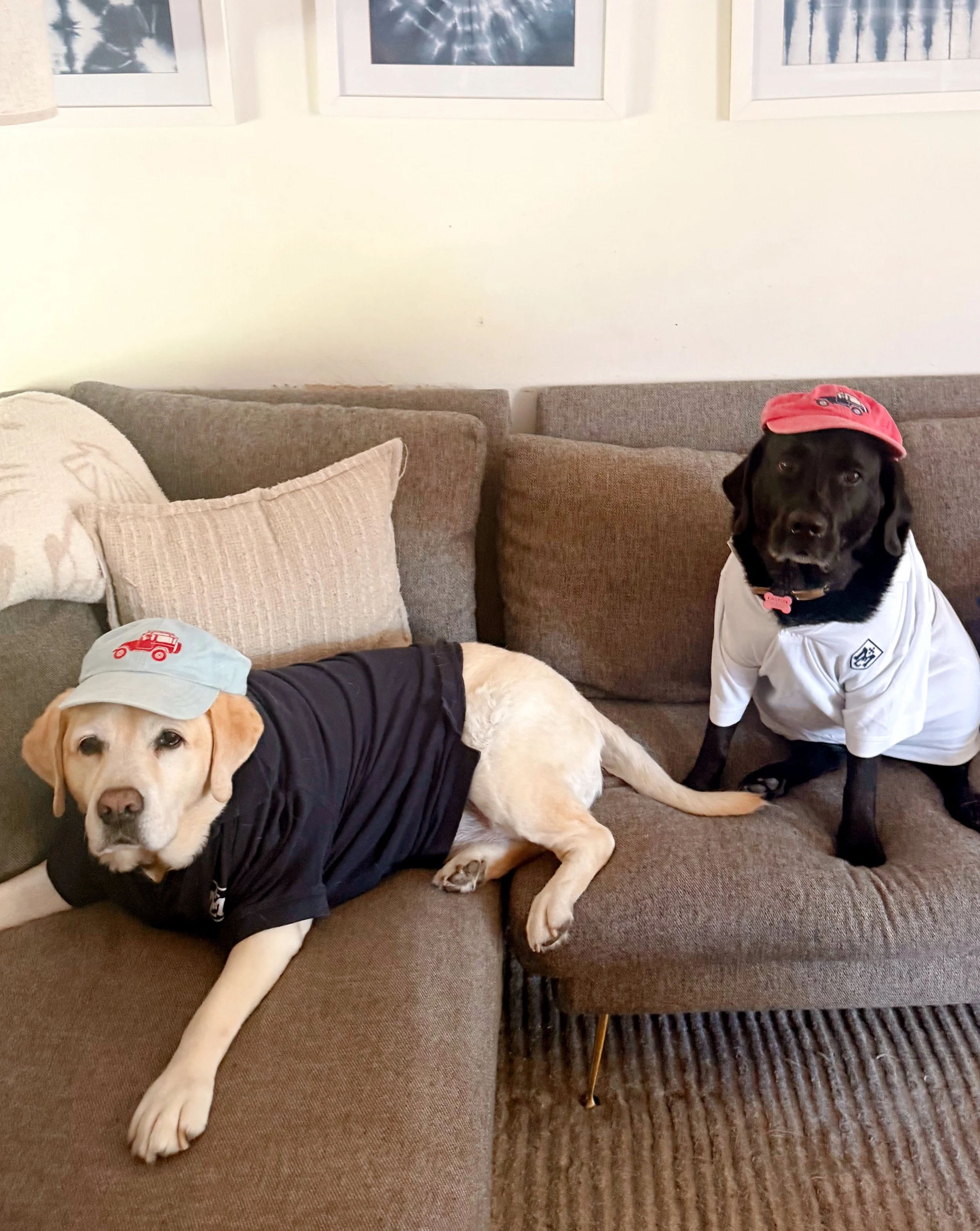 Boomer and Easton are taking it easy after a big round of golf