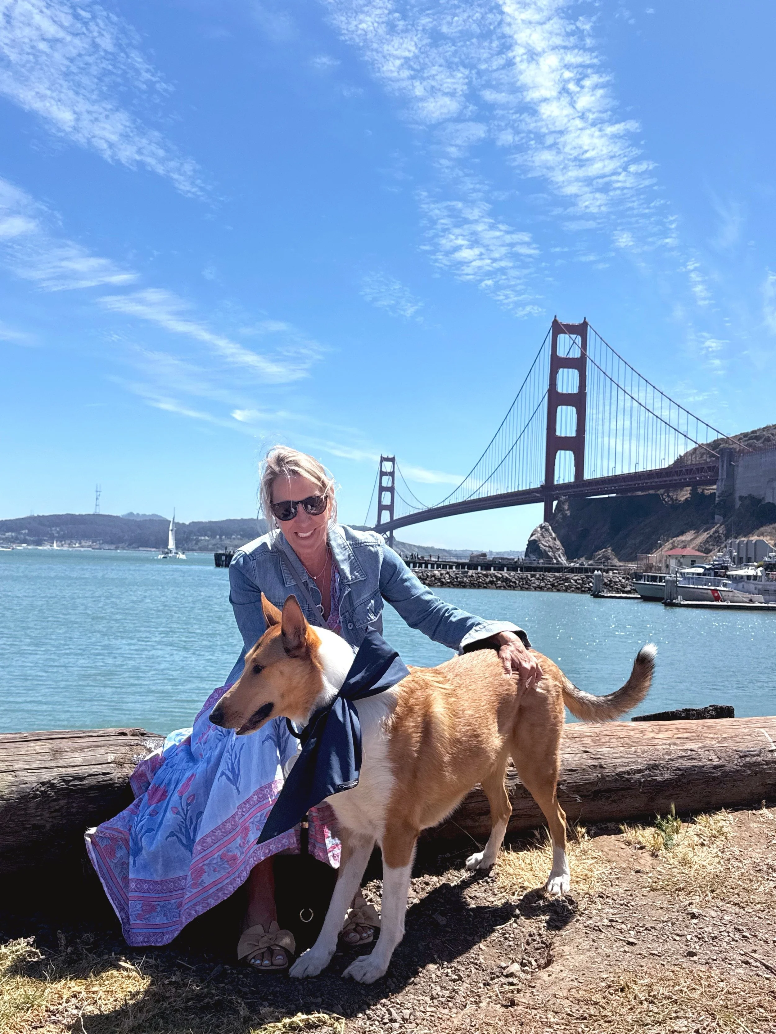 Bucky Dog was in a wedding! Taz, a beautiful collie and new member of our pack, was the ring bearer and Paige had the incredible honor of being his designated chaperone&mdash;keeping him happy, relaxed, and ready for his big moment!

Taz, a known fas