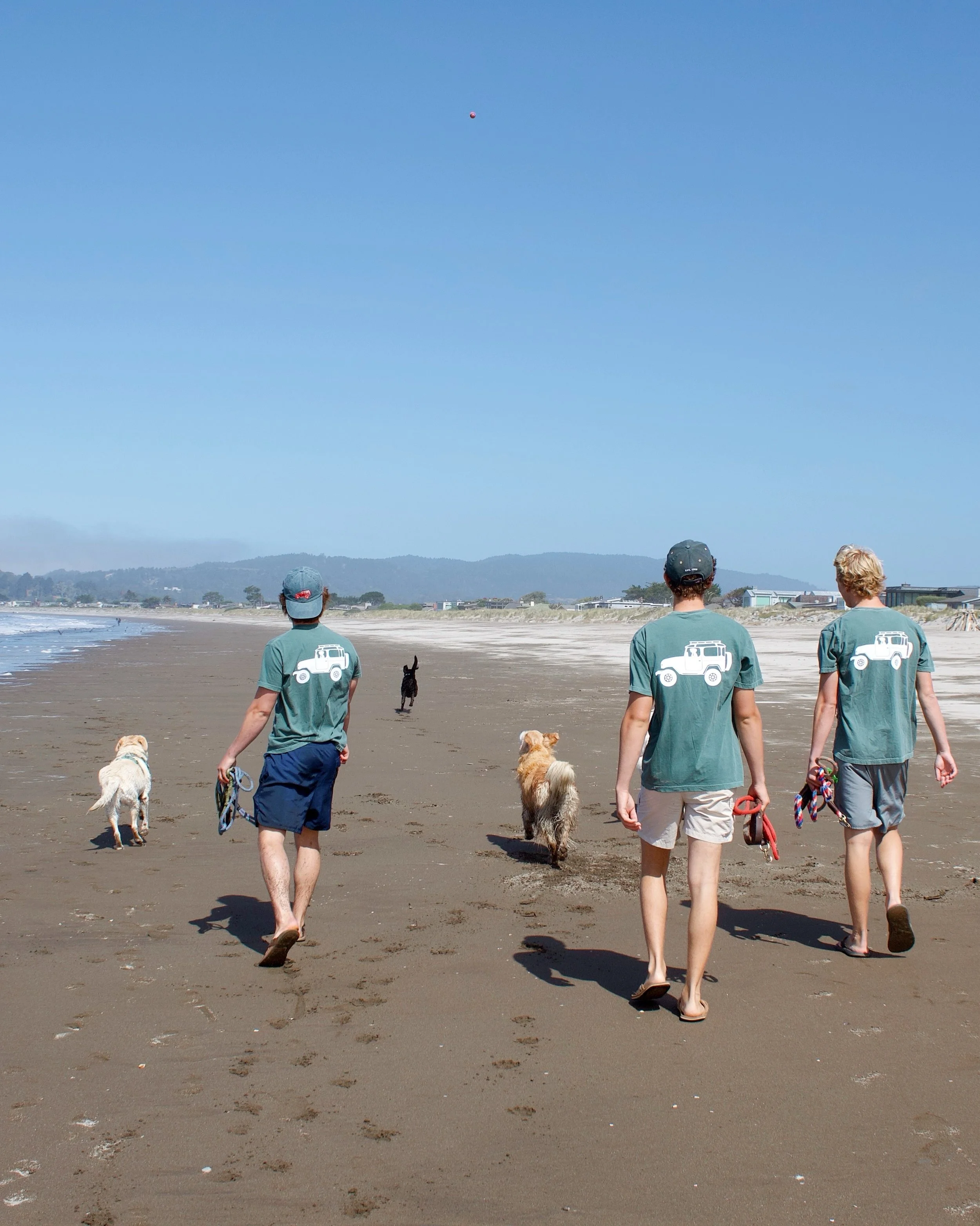 These Stinson Beach Fridays have sure been fun! For the past several weeks, a group of our college walkers have taken a crew of pups out to Stinson Beach for a full day adventure of hiking and playing on the beach. It&rsquo;s been so much fun to laun