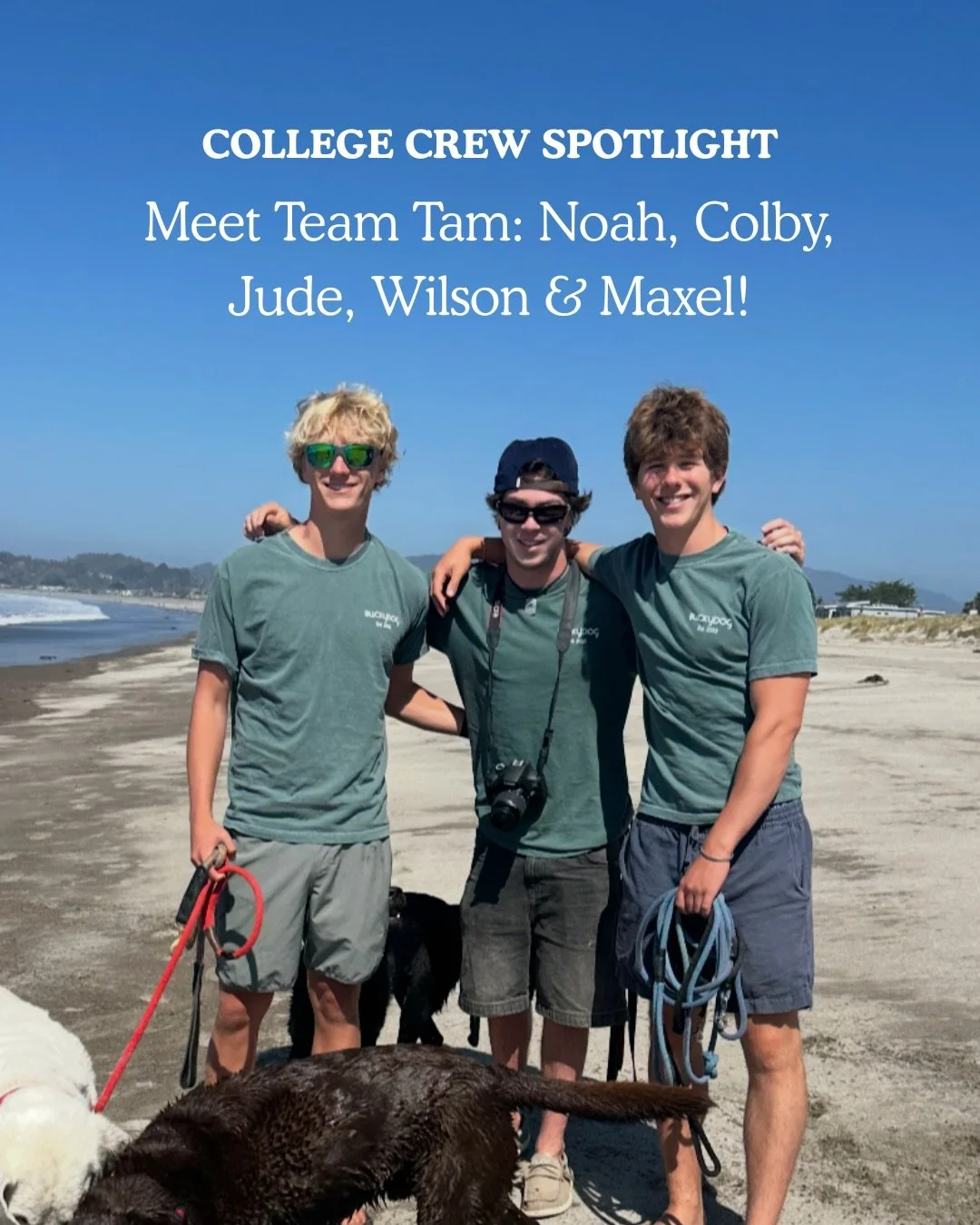 College Crew Spotlight Part Two! Please meet Jude, Colby, Wilson, Noah and Maxel. These five guys all went to Tam High School (hence, Team Tam) and have been a core part of our Bucky Dog summer! You&rsquo;ve probably seen them chaperoning our Stinson