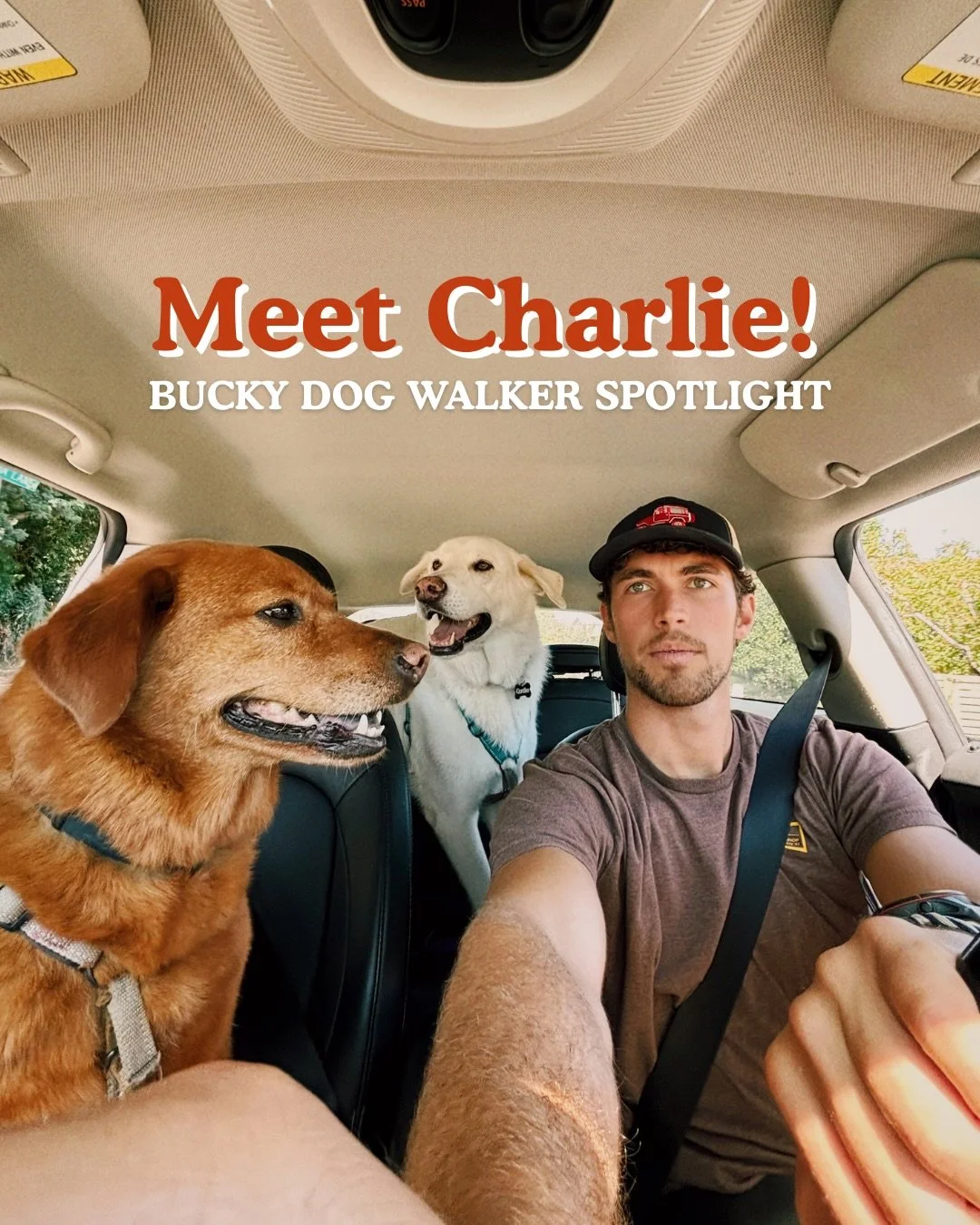 Have you met Charlie? An incredible part of the Bucky Dog team, Charlie is an amazing dog walker, a talented athlete, and one of the nicest people. Charlie has been with the pack for several years now and we&rsquo;re very excited to share a new progr