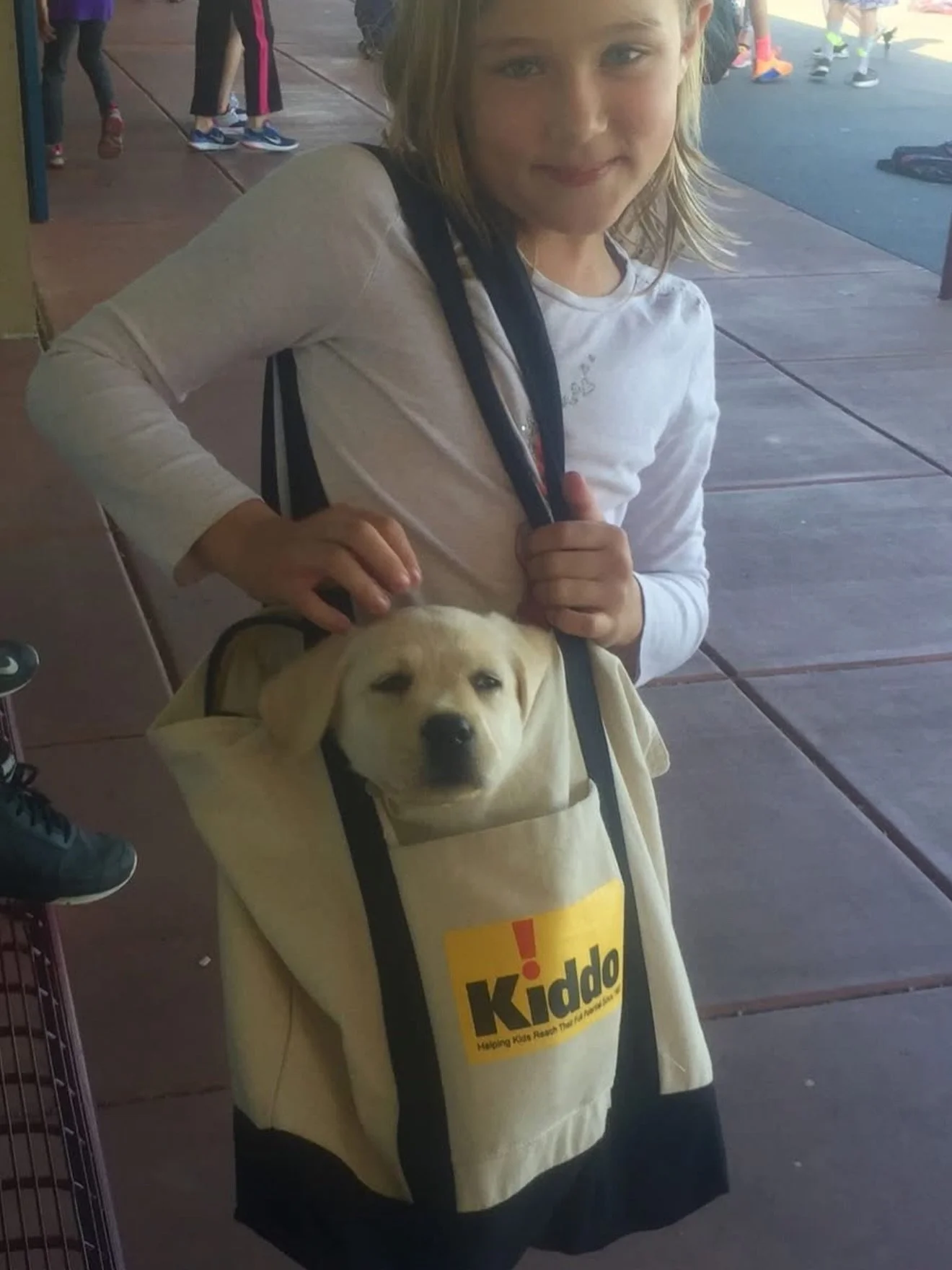 We don&rsquo;t kid about @kiddomillvalley! Happy 45th anniversary to one of the best organizations (that&rsquo;s 315 in dog years) &mdash; Bucky Dog has been a proud supporter of Kiddo! since our founding way back in 2015. Quality arts, music, dance 