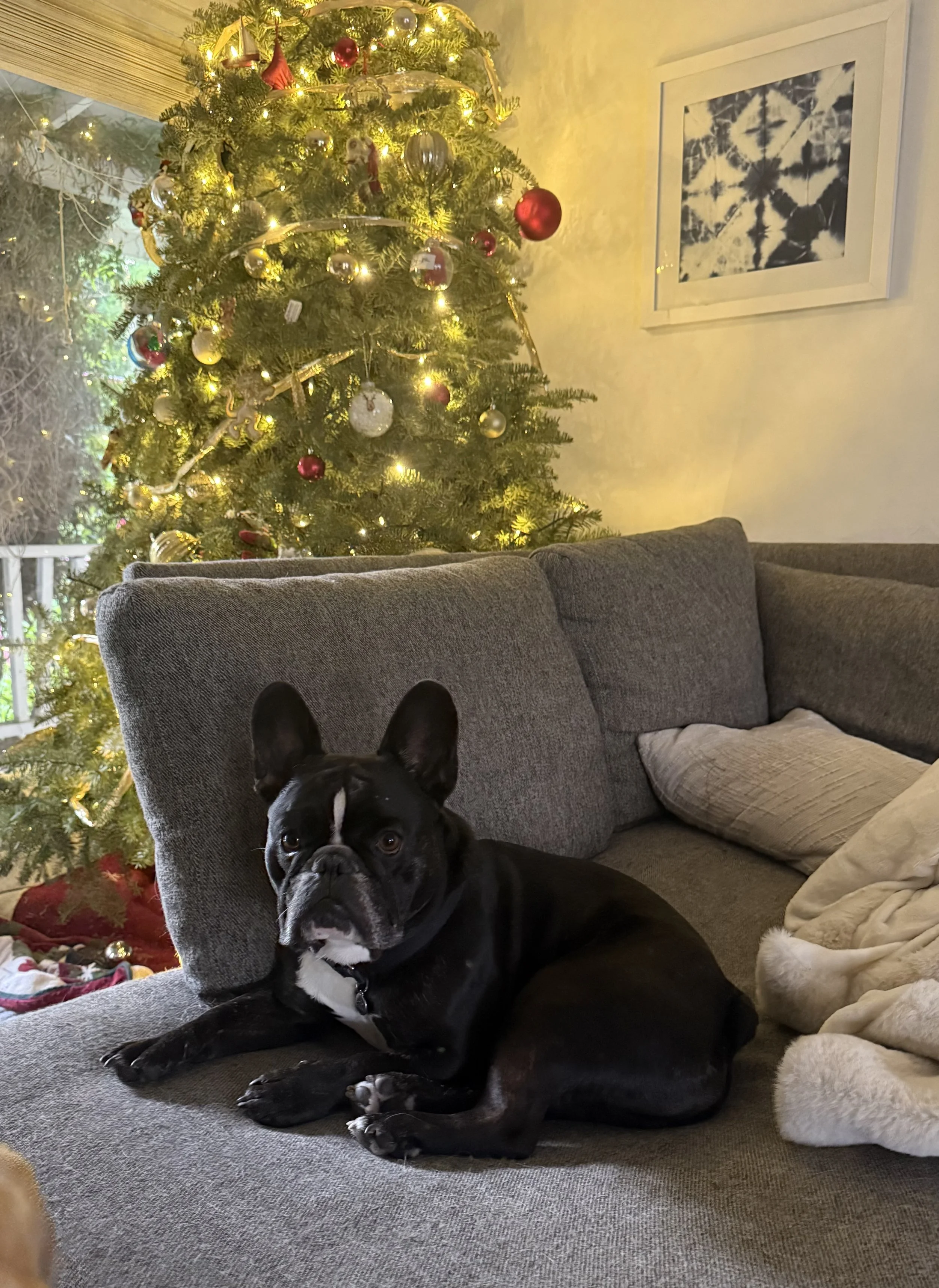 FullSizeRender 2.jpg