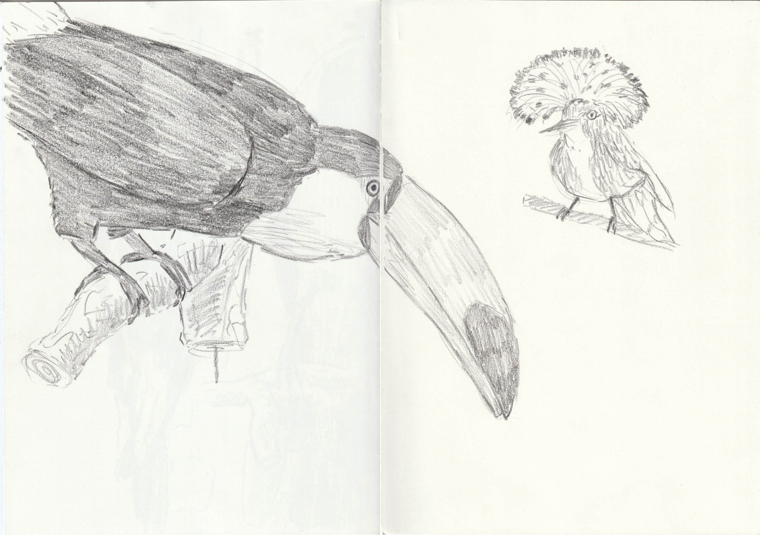 Sketches, Drawings and more