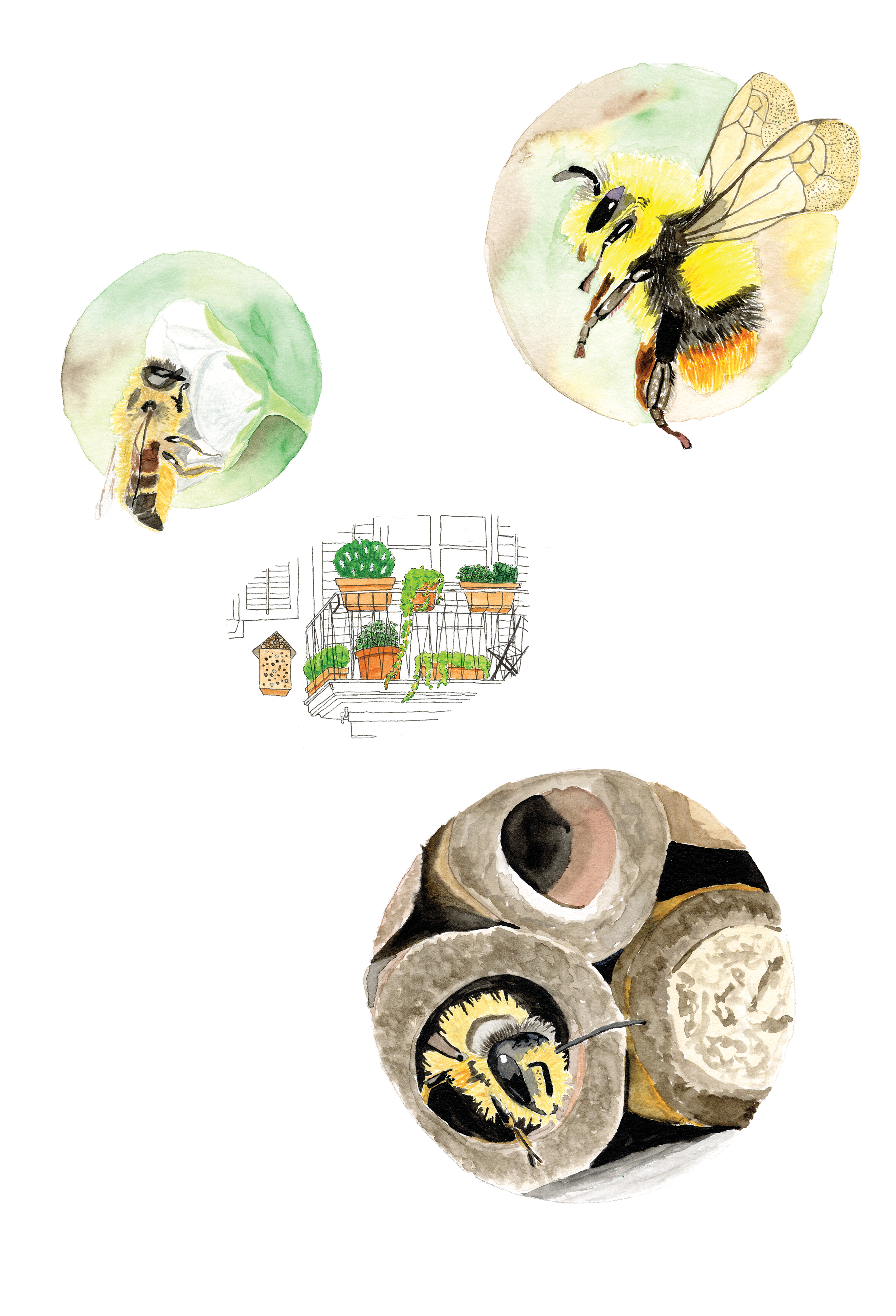 bees.png