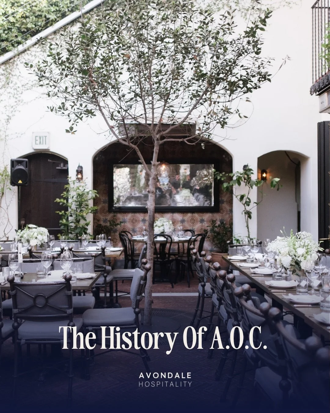 A.O.C. is going on 25 years, and it&rsquo;s still the wine bar half of LA is trying to copy. Swipe through for the story behind the name &mdash; and the two women who rewrote the rules for what a wine bar in this city could be.

#aoc #losangeles #laf