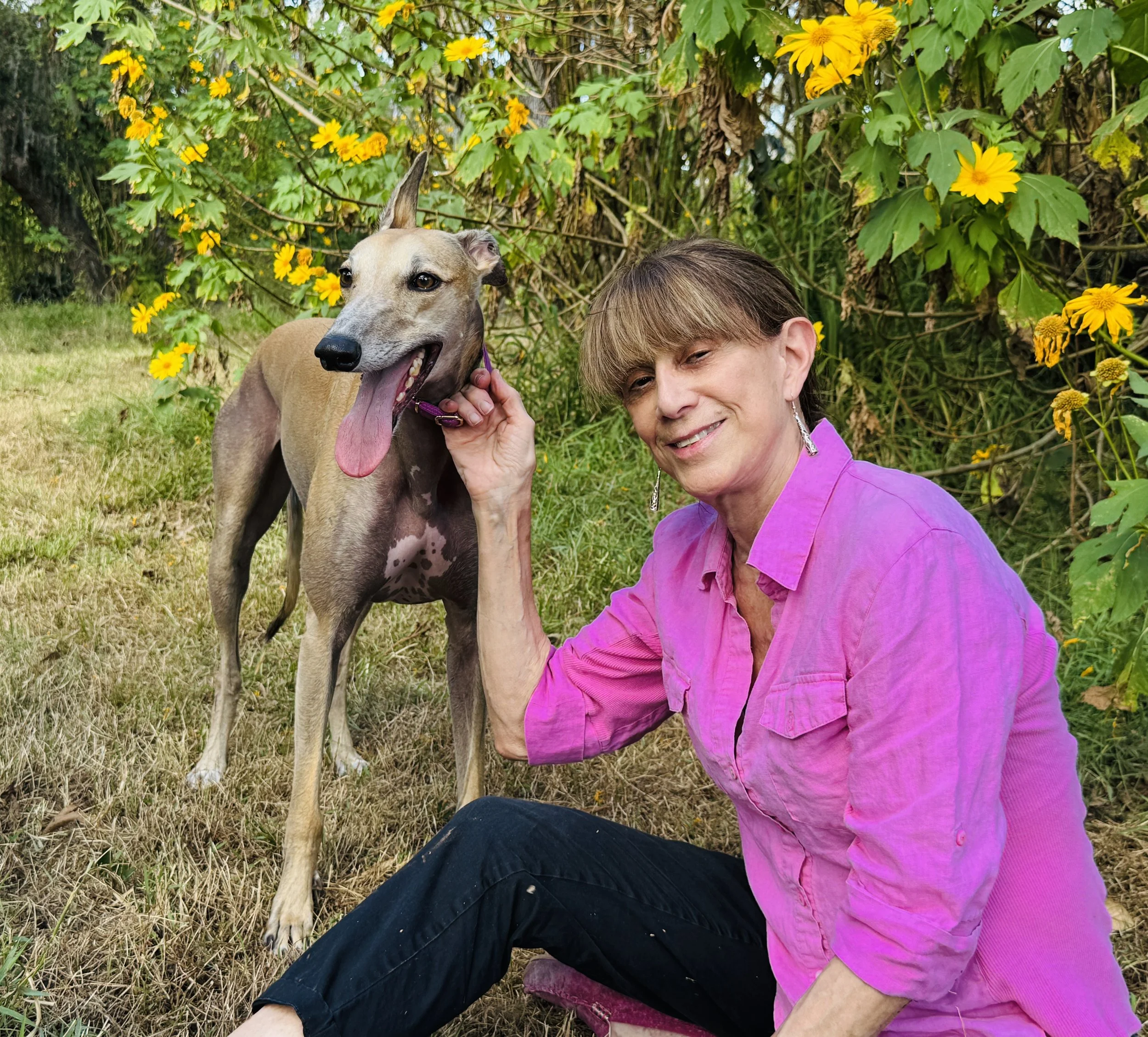 A woman in a pink shirt sitting on the grass next to a Greyhound dog with its tongue out, surrounded by green leaves and yellow flowers.