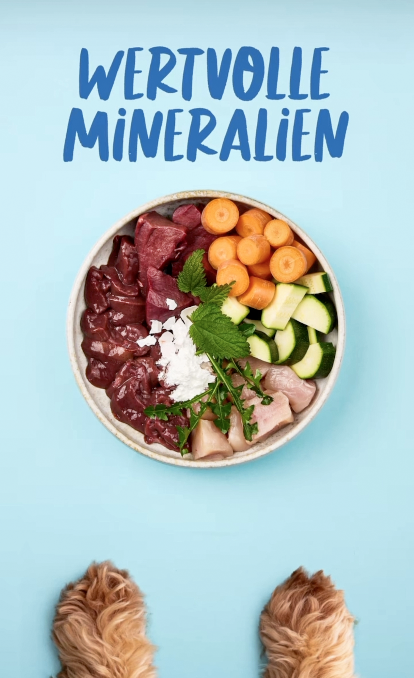 Ein Teller mit verschiedenen wertvollen Mineralien in Form von rohem Fleisch, Gemüse und Kräutern auf einem blauen Hintergrund, darunter Karotten, Gurken, Hühnerfleisch, Salz und frische Kräuter.