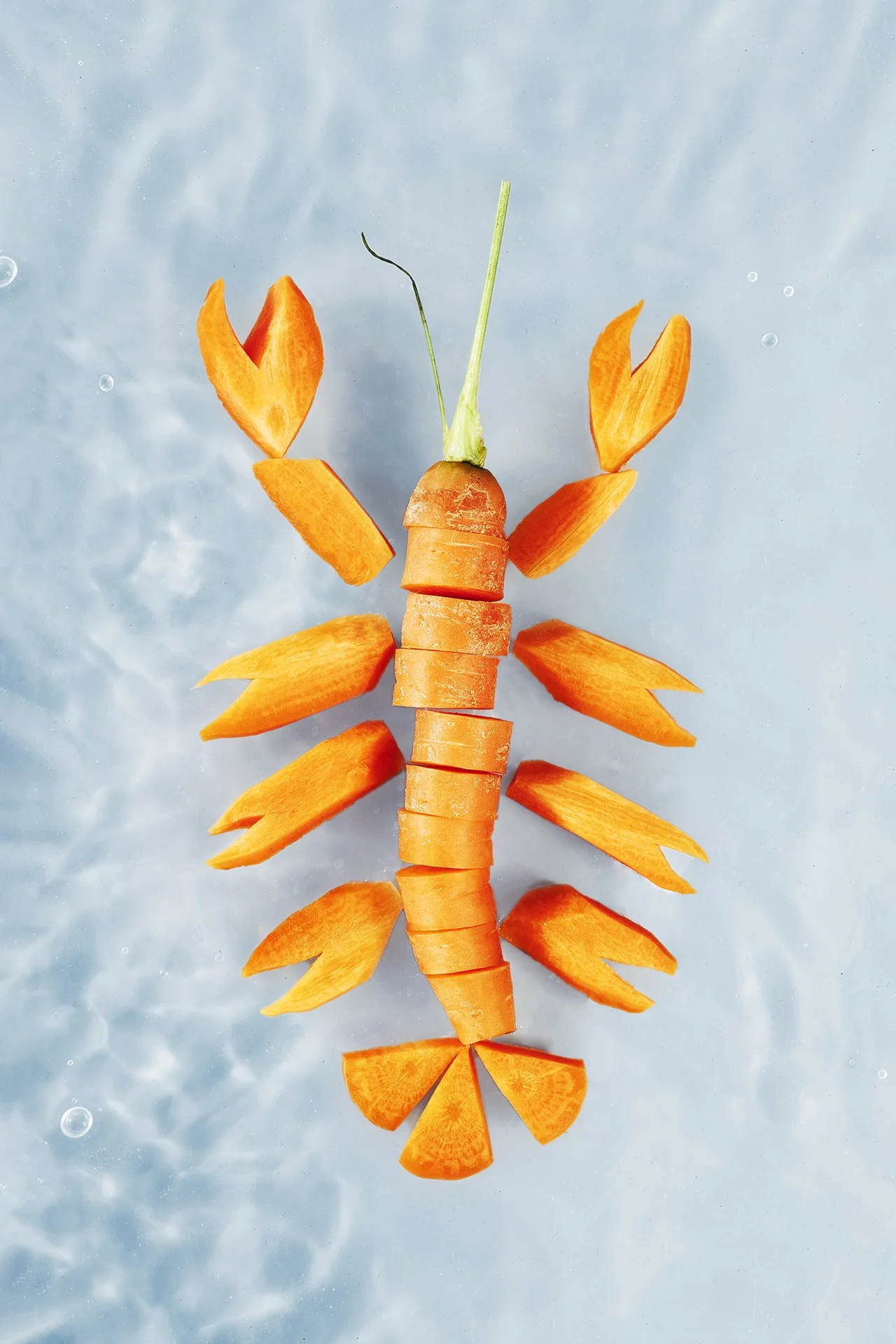 Ein Kunstwerk, das aus einer Karotte besteht, die in Scheiben geschnitten ist und auf einer Wasseroberfläche schwimmt, mit zusätzlichen Karottenscheiben als Flügel.