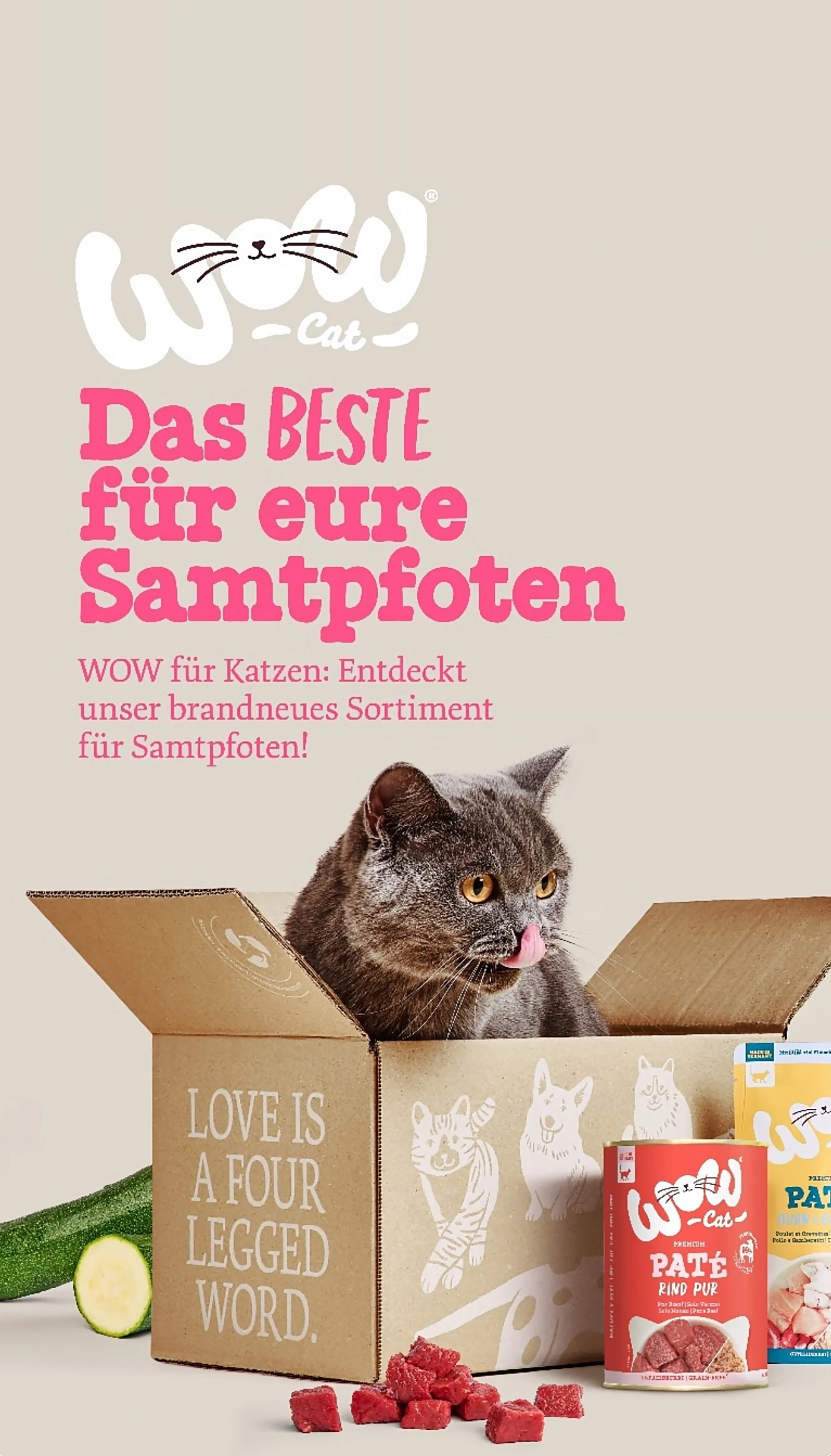 Katzen müssen ihre Samtpfoten warm halten, daher bietet WOW ein Sortiment an Saftpfoten an. Das Bild zeigt eine Katze, die aus einem Karton mit Aufklebern und einem Spruch, der 'LOVE IS A FOUR LEGGED WORD' lautet, herausblickt. Es sind auch einige Katzenfutter- und Leckerliprodukte sichtbar.