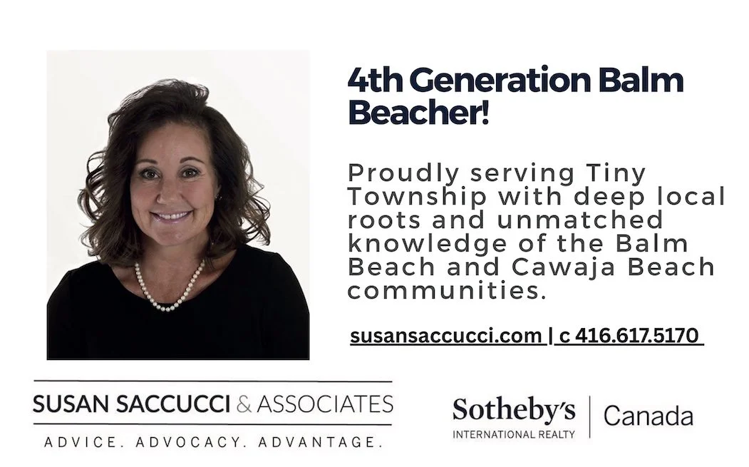 Susan Saccucci Ad.jpg