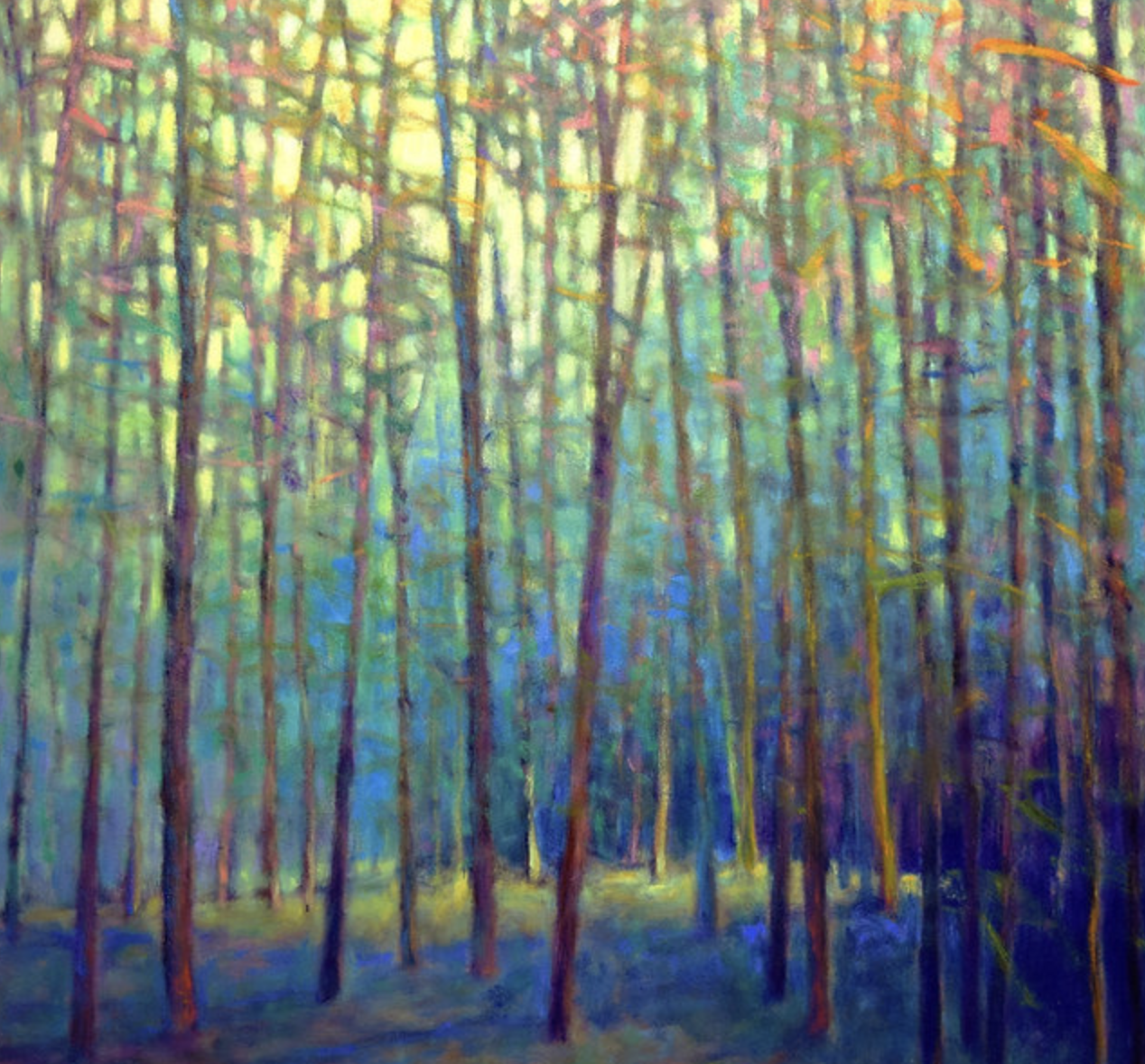 In the forest surround